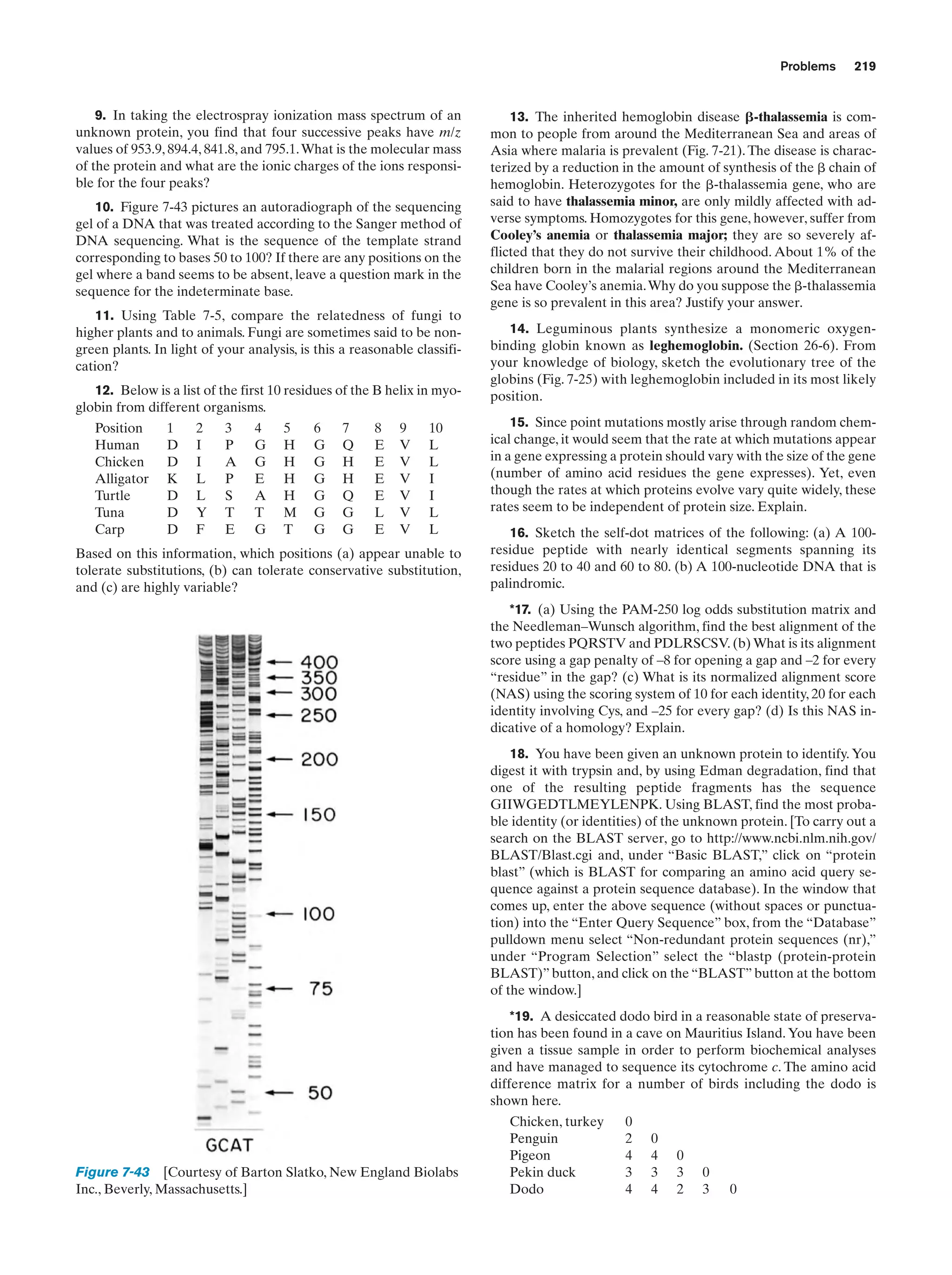 Problems

9. In taking the electrospray ionization mass spectrum of an
unknown protein, you find that four successive peaks have m/z
values of 953.9, 894.4, 841.8, and 795.1. What is the molecular mass
of the protein and what are the ionic charges of the ions responsible for the four peaks?
10. Figure 7-43 pictures an autoradiograph of the sequencing
gel of a DNA that was treated according to the Sanger method of
DNA sequencing. What is the sequence of the template strand
corresponding to bases 50 to 100? If there are any positions on the
gel where a band seems to be absent, leave a question mark in the
sequence for the indeterminate base.
11. Using Table 7-5, compare the relatedness of fungi to
higher plants and to animals. Fungi are sometimes said to be nongreen plants. In light of your analysis, is this a reasonable classification?
12. Below is a list of the first 10 residues of the B helix in myoglobin from different organisms.
Position
Human
Chicken
Alligator
Turtle
Tuna
Carp

1
D
D
K
D
D
D

2
I
I
L
L
Y
F

3
P
A
P
S
T
E

4
G
G
E
A
T
G

5
H
H
H
H
M
T

6
G
G
G
G
G
G

7
Q
H
H
Q
G
G

8
E
E
E
E
L
E

9
V
V
V
V
V
V

10
L
L
I
I
L
L

Based on this information, which positions (a) appear unable to
tolerate substitutions, (b) can tolerate conservative substitution,
and (c) are highly variable?

219

13. The inherited hemoglobin disease ␤-thalassemia is common to people from around the Mediterranean Sea and areas of
Asia where malaria is prevalent (Fig. 7-21). The disease is characterized by a reduction in the amount of synthesis of the ␤ chain of
hemoglobin. Heterozygotes for the ␤-thalassemia gene, who are
said to have thalassemia minor, are only mildly affected with adverse symptoms. Homozygotes for this gene, however, suffer from
Cooley’s anemia or thalassemia major; they are so severely afflicted that they do not survive their childhood. About 1% of the
children born in the malarial regions around the Mediterranean
Sea have Cooley’s anemia. Why do you suppose the ␤-thalassemia
gene is so prevalent in this area? Justify your answer.
14. Leguminous plants synthesize a monomeric oxygenbinding globin known as leghemoglobin. (Section 26-6). From
your knowledge of biology, sketch the evolutionary tree of the
globins (Fig. 7-25) with leghemoglobin included in its most likely
position.
15. Since point mutations mostly arise through random chemical change, it would seem that the rate at which mutations appear
in a gene expressing a protein should vary with the size of the gene
(number of amino acid residues the gene expresses). Yet, even
though the rates at which proteins evolve vary quite widely, these
rates seem to be independent of protein size. Explain.
16. Sketch the self-dot matrices of the following: (a) A 100residue peptide with nearly identical segments spanning its
residues 20 to 40 and 60 to 80. (b) A 100-nucleotide DNA that is
palindromic.
*17. (a) Using the PAM-250 log odds substitution matrix and
the Needleman–Wunsch algorithm, find the best alignment of the
two peptides PQRSTV and PDLRSCSV. (b) What is its alignment
score using a gap penalty of –8 for opening a gap and –2 for every
“residue” in the gap? (c) What is its normalized alignment score
(NAS) using the scoring system of 10 for each identity, 20 for each
identity involving Cys, and –25 for every gap? (d) Is this NAS indicative of a homology? Explain.
18. You have been given an unknown protein to identify. You
digest it with trypsin and, by using Edman degradation, find that
one of the resulting peptide fragments has the sequence
GIIWGEDTLMEYLENPK. Using BLAST, find the most probable identity (or identities) of the unknown protein. [To carry out a
search on the BLAST server, go to http://www.ncbi.nlm.nih.gov/
BLAST/Blast.cgi and, under “Basic BLAST,” click on “protein
blast” (which is BLAST for comparing an amino acid query sequence against a protein sequence database). In the window that
comes up, enter the above sequence (without spaces or punctuation) into the “Enter Query Sequence” box, from the “Database”
pulldown menu select “Non-redundant protein sequences (nr),”
under “Program Selection” select the “blastp (protein-protein
BLAST)” button, and click on the “BLAST” button at the bottom
of the window.]
*19. A desiccated dodo bird in a reasonable state of preservation has been found in a cave on Mauritius Island. You have been
given a tissue sample in order to perform biochemical analyses
and have managed to sequence its cytochrome c. The amino acid
difference matrix for a number of birds including the dodo is
shown here.

Figure 7-43 [Courtesy of Barton Slatko, New England Biolabs
Inc., Beverly, Massachusetts.]

Chicken, turkey
Penguin
Pigeon
Pekin duck
Dodo

0
2
4
3
4

0
4
3
4

0
3
2

0
3

0

 
