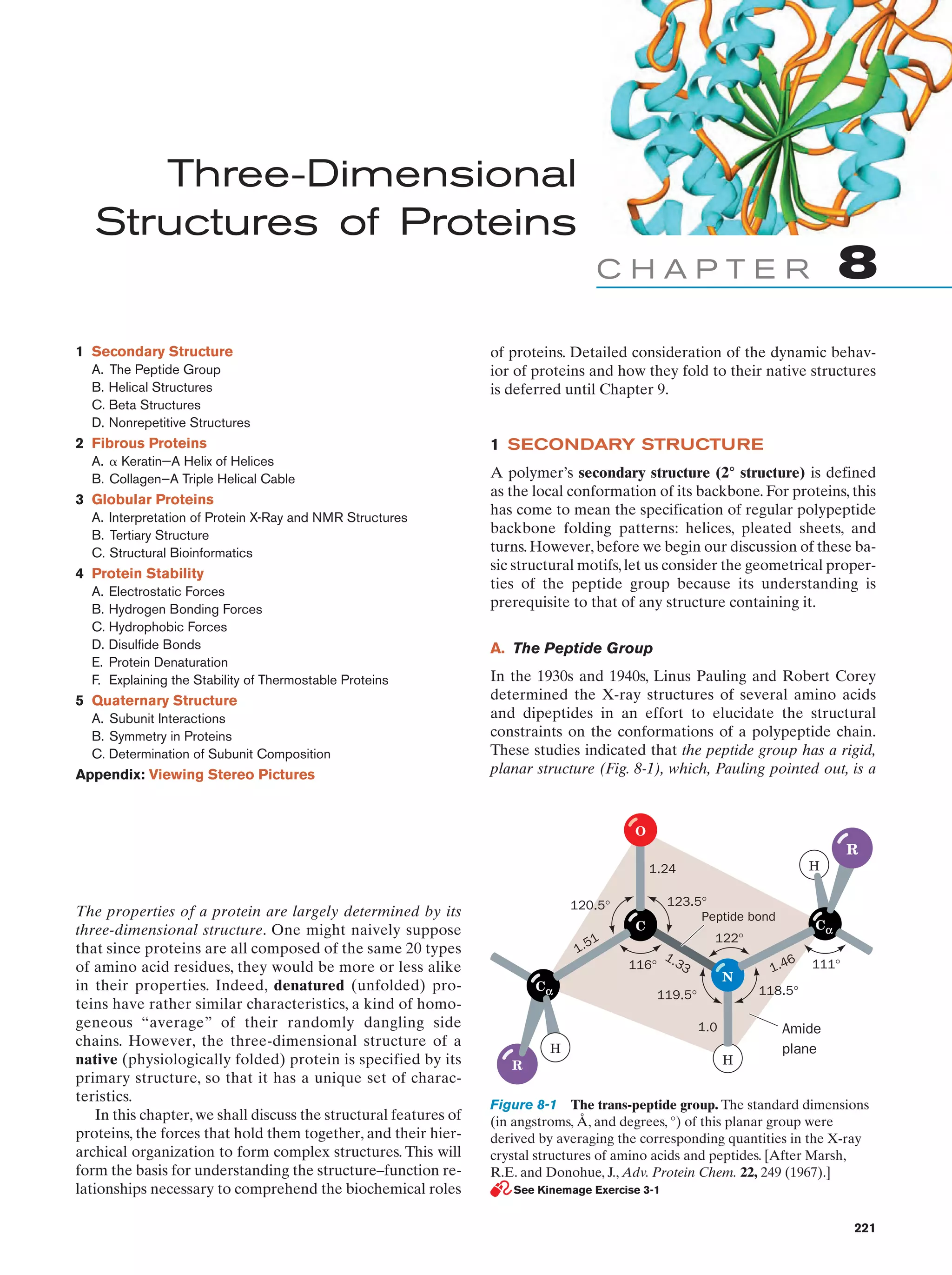 Three-Dimensional
Structures of Proteins

8

CHAPTER
1 Secondary Structure
A. The Peptide Group
B. Helical Structures
C. Beta Structures
D. Nonrepetitive Structures

2 Fibrous Proteins
A. ␣ Keratin—A Helix of Helices
B. Collagen—A Triple Helical Cable

3 Globular Proteins
A. Interpretation of Protein X-Ray and NMR Structures
B. Tertiary Structure
C. Structural Bioinformatics

4 Protein Stability
A. Electrostatic Forces
B. Hydrogen Bonding Forces
C. Hydrophobic Forces
D. Disulfide Bonds
E. Protein Denaturation
F. Explaining the Stability of Thermostable Proteins

5 Quaternary Structure
A. Subunit Interactions
B. Symmetry in Proteins
C. Determination of Subunit Composition

Appendix: Viewing Stereo Pictures

of proteins. Detailed consideration of the dynamic behavior of proteins and how they fold to their native structures
is deferred until Chapter 9.

1 SECONDARY STRUCTURE
A polymer’s secondary structure (2° structure) is defined
as the local conformation of its backbone. For proteins, this
has come to mean the specification of regular polypeptide
backbone folding patterns: helices, pleated sheets, and
turns. However, before we begin our discussion of these basic structural motifs, let us consider the geometrical properties of the peptide group because its understanding is
prerequisite to that of any structure containing it.
A. The Peptide Group
In the 1930s and 1940s, Linus Pauling and Robert Corey
determined the X-ray structures of several amino acids
and dipeptides in an effort to elucidate the structural
constraints on the conformations of a polypeptide chain.
These studies indicated that the peptide group has a rigid,
planar structure (Fig. 8-1), which, Pauling pointed out, is a

O

R
H

1.24

The properties of a protein are largely determined by its
three-dimensional structure. One might naively suppose
that since proteins are all composed of the same 20 types
of amino acid residues, they would be more or less alike
in their properties. Indeed, denatured (unfolded) proteins have rather similar characteristics, a kind of homogeneous “average” of their randomly dangling side
chains. However, the three-dimensional structure of a
native (physiologically folded) protein is specified by its
primary structure, so that it has a unique set of characteristics.
In this chapter, we shall discuss the structural features of
proteins, the forces that hold them together, and their hierarchical organization to form complex structures. This will
form the basis for understanding the structure–function relationships necessary to comprehend the biochemical roles

123.5°
Peptide bond

120.5°
C

1.3

116°
Cα

Cα

122°

1
1.5

6

3

N

1.0
R

111°

118.5°

119.5°

H

1.4

H

Amide
plane

Figure 8-1 The trans-peptide group. The standard dimensions
(in angstroms, Å, and degrees, °) of this planar group were
derived by averaging the corresponding quantities in the X-ray
crystal structures of amino acids and peptides. [After Marsh,
R.E. and Donohue, J., Adv. Protein Chem. 22, 249 (1967).]
See Kinemage Exercise 3-1

221

 