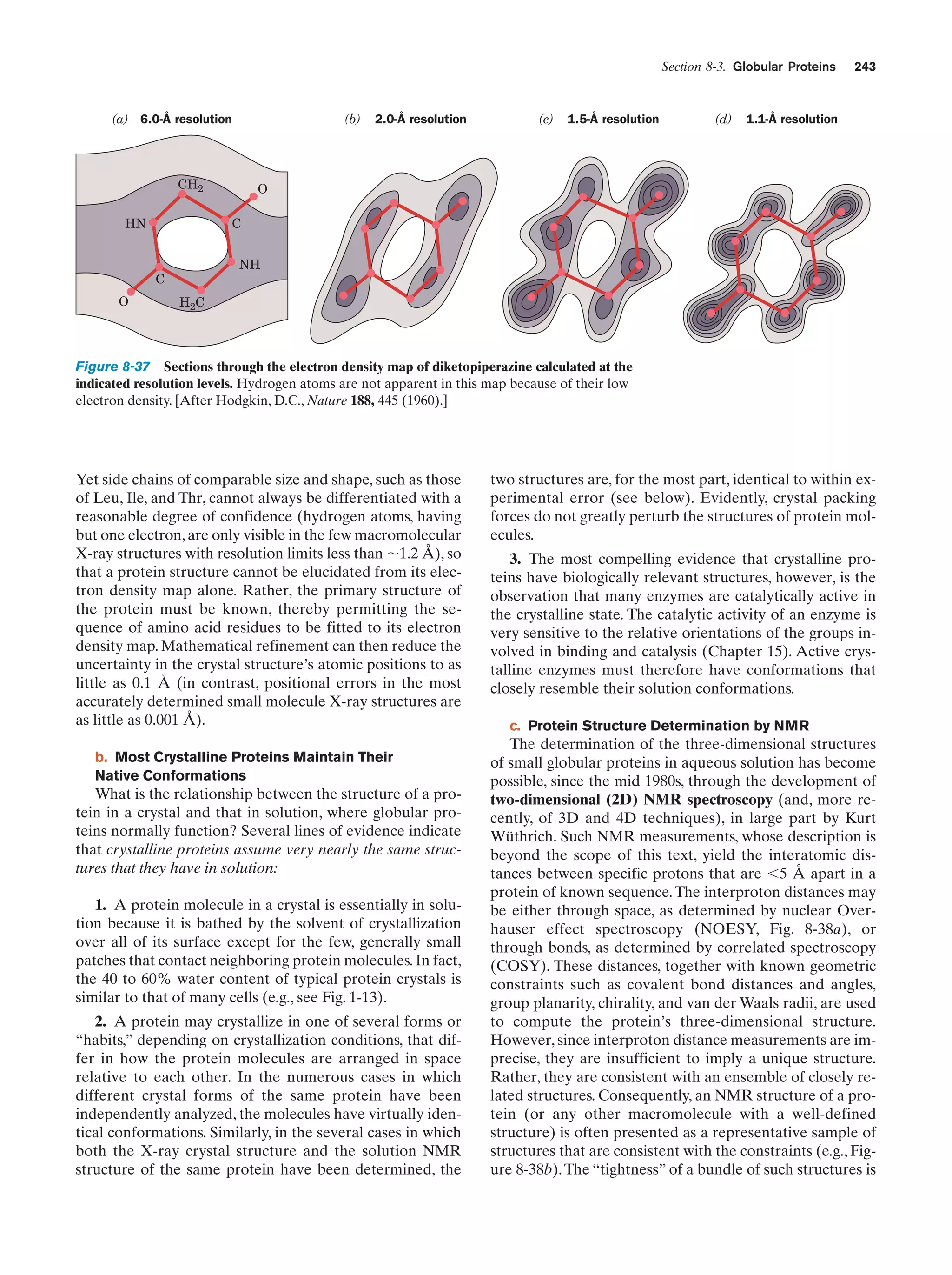 Section 8-3. Globular Proteins

(a) 6.0-Å resolution

(b)

CH2

(c)

1.5-Å resolution

(d)

1.1-Å resolution

O

C

HN

NH

C
O

2.0-Å resolution

243

H2C

Figure 8-37 Sections through the electron density map of diketopiperazine calculated at the
indicated resolution levels. Hydrogen atoms are not apparent in this map because of their low
electron density. [After Hodgkin, D.C., Nature 188, 445 (1960).]

Yet side chains of comparable size and shape, such as those
of Leu, Ile, and Thr, cannot always be differentiated with a
reasonable degree of confidence (hydrogen atoms, having
but one electron, are only visible in the few macromolecular
X-ray structures with resolution limits less than ϳ1.2 Å), so
that a protein structure cannot be elucidated from its electron density map alone. Rather, the primary structure of
the protein must be known, thereby permitting the sequence of amino acid residues to be fitted to its electron
density map. Mathematical refinement can then reduce the
uncertainty in the crystal structure’s atomic positions to as
little as 0.1 Å (in contrast, positional errors in the most
accurately determined small molecule X-ray structures are
as little as 0.001 Å).
b. Most Crystalline Proteins Maintain Their
Native Conformations

What is the relationship between the structure of a protein in a crystal and that in solution, where globular proteins normally function? Several lines of evidence indicate
that crystalline proteins assume very nearly the same structures that they have in solution:
1. A protein molecule in a crystal is essentially in solution because it is bathed by the solvent of crystallization
over all of its surface except for the few, generally small
patches that contact neighboring protein molecules. In fact,
the 40 to 60% water content of typical protein crystals is
similar to that of many cells (e.g., see Fig. 1-13).
2. A protein may crystallize in one of several forms or
“habits,” depending on crystallization conditions, that differ in how the protein molecules are arranged in space
relative to each other. In the numerous cases in which
different crystal forms of the same protein have been
independently analyzed, the molecules have virtually identical conformations. Similarly, in the several cases in which
both the X-ray crystal structure and the solution NMR
structure of the same protein have been determined, the

two structures are, for the most part, identical to within experimental error (see below). Evidently, crystal packing
forces do not greatly perturb the structures of protein molecules.
3. The most compelling evidence that crystalline proteins have biologically relevant structures, however, is the
observation that many enzymes are catalytically active in
the crystalline state. The catalytic activity of an enzyme is
very sensitive to the relative orientations of the groups involved in binding and catalysis (Chapter 15). Active crystalline enzymes must therefore have conformations that
closely resemble their solution conformations.
c. Protein Structure Determination by NMR

The determination of the three-dimensional structures
of small globular proteins in aqueous solution has become
possible, since the mid 1980s, through the development of
two-dimensional (2D) NMR spectroscopy (and, more recently, of 3D and 4D techniques), in large part by Kurt
Wüthrich. Such NMR measurements, whose description is
beyond the scope of this text, yield the interatomic distances between specific protons that are Ͻ5 Å apart in a
protein of known sequence. The interproton distances may
be either through space, as determined by nuclear Overhauser effect spectroscopy (NOESY, Fig. 8-38a), or
through bonds, as determined by correlated spectroscopy
(COSY). These distances, together with known geometric
constraints such as covalent bond distances and angles,
group planarity, chirality, and van der Waals radii, are used
to compute the protein’s three-dimensional structure.
However, since interproton distance measurements are imprecise, they are insufficient to imply a unique structure.
Rather, they are consistent with an ensemble of closely related structures. Consequently, an NMR structure of a protein (or any other macromolecule with a well-defined
structure) is often presented as a representative sample of
structures that are consistent with the constraints (e.g., Figure 8-38b). The “tightness” of a bundle of such structures is

 