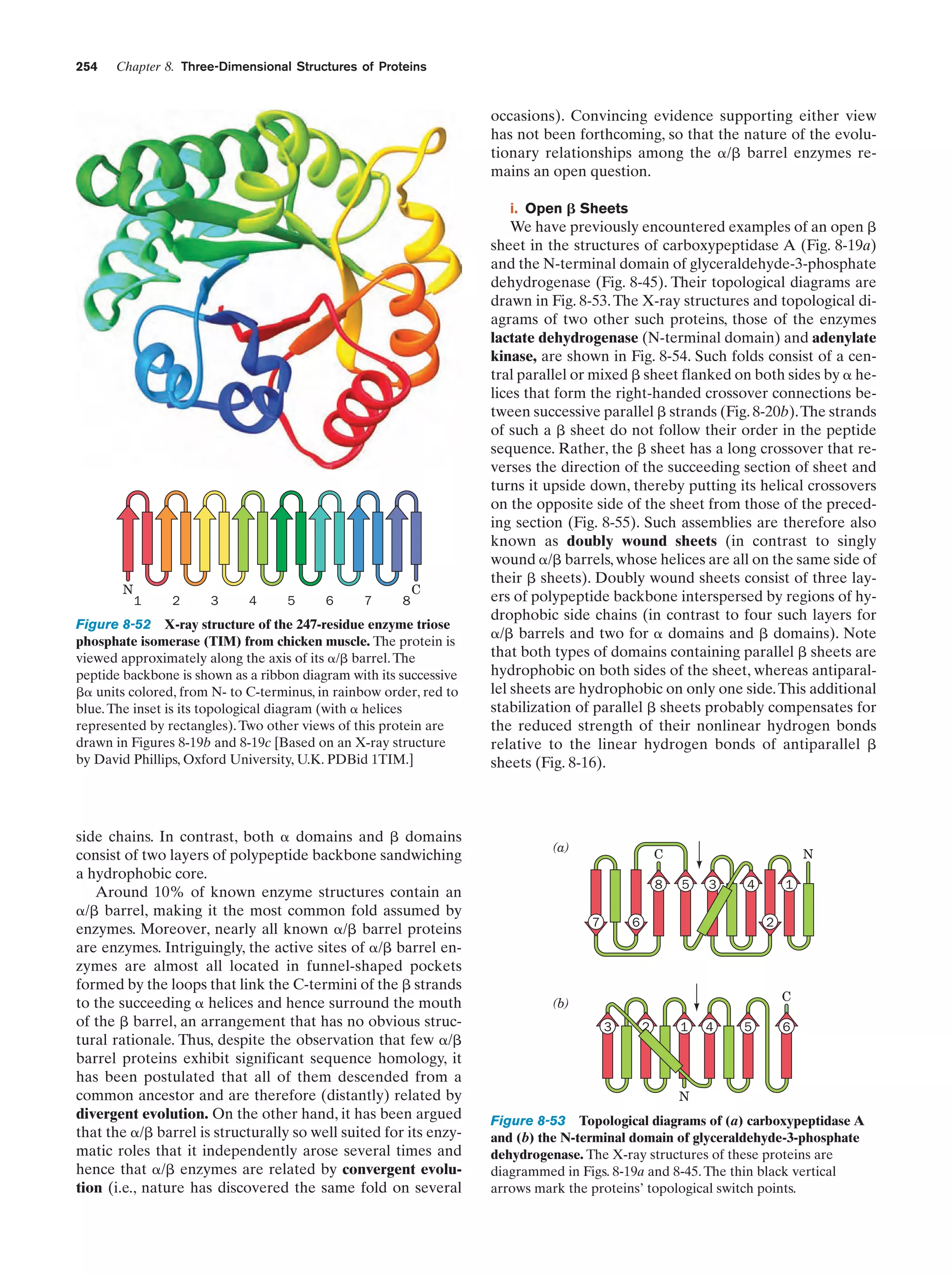 Biochemistry.4th.edition