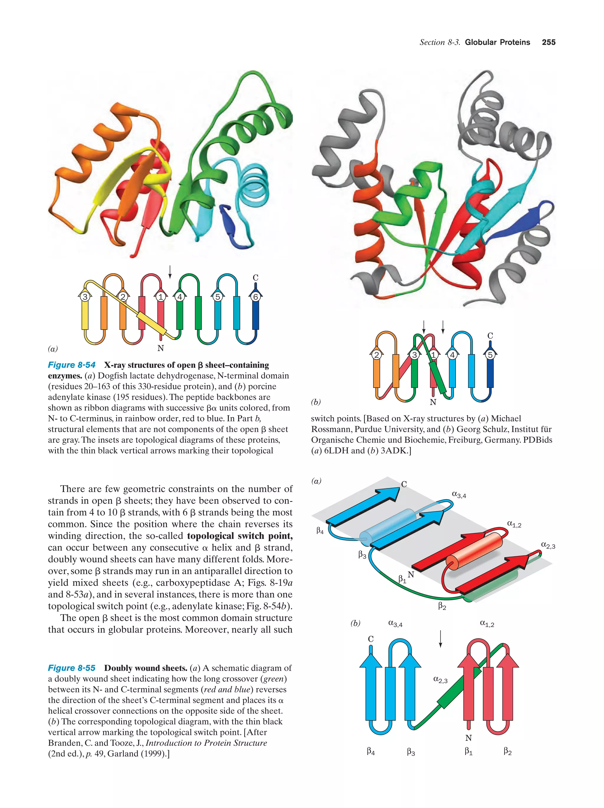 Biochemistry.4th.edition