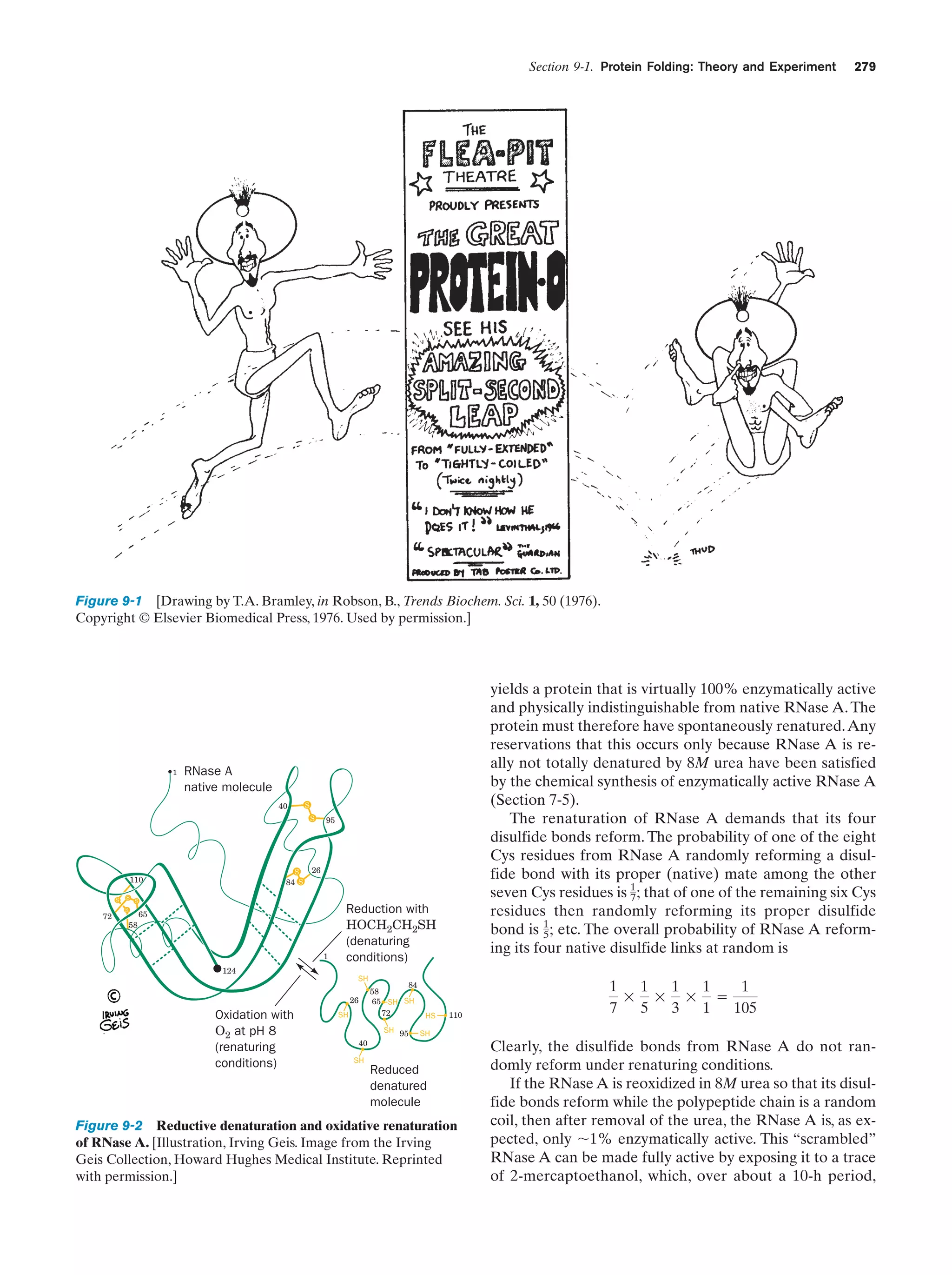 Biochemistry.4th.edition