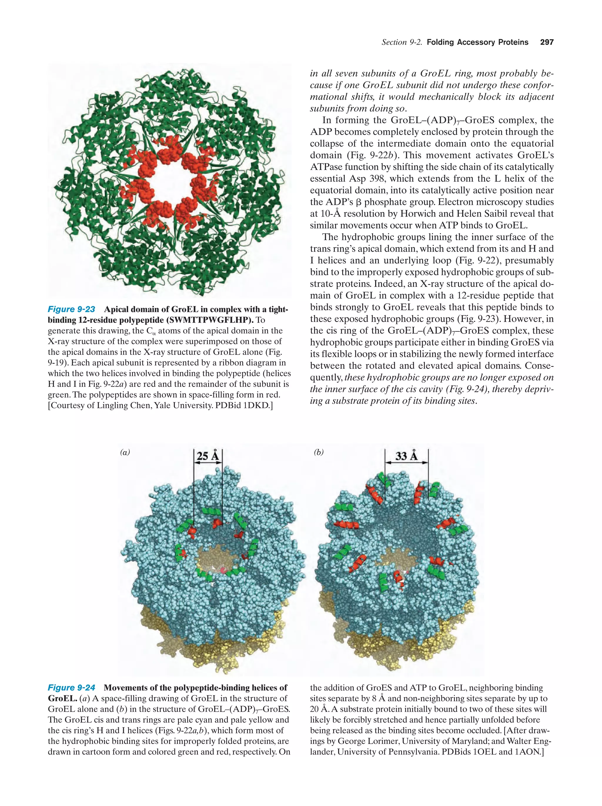 Biochemistry.4th.edition