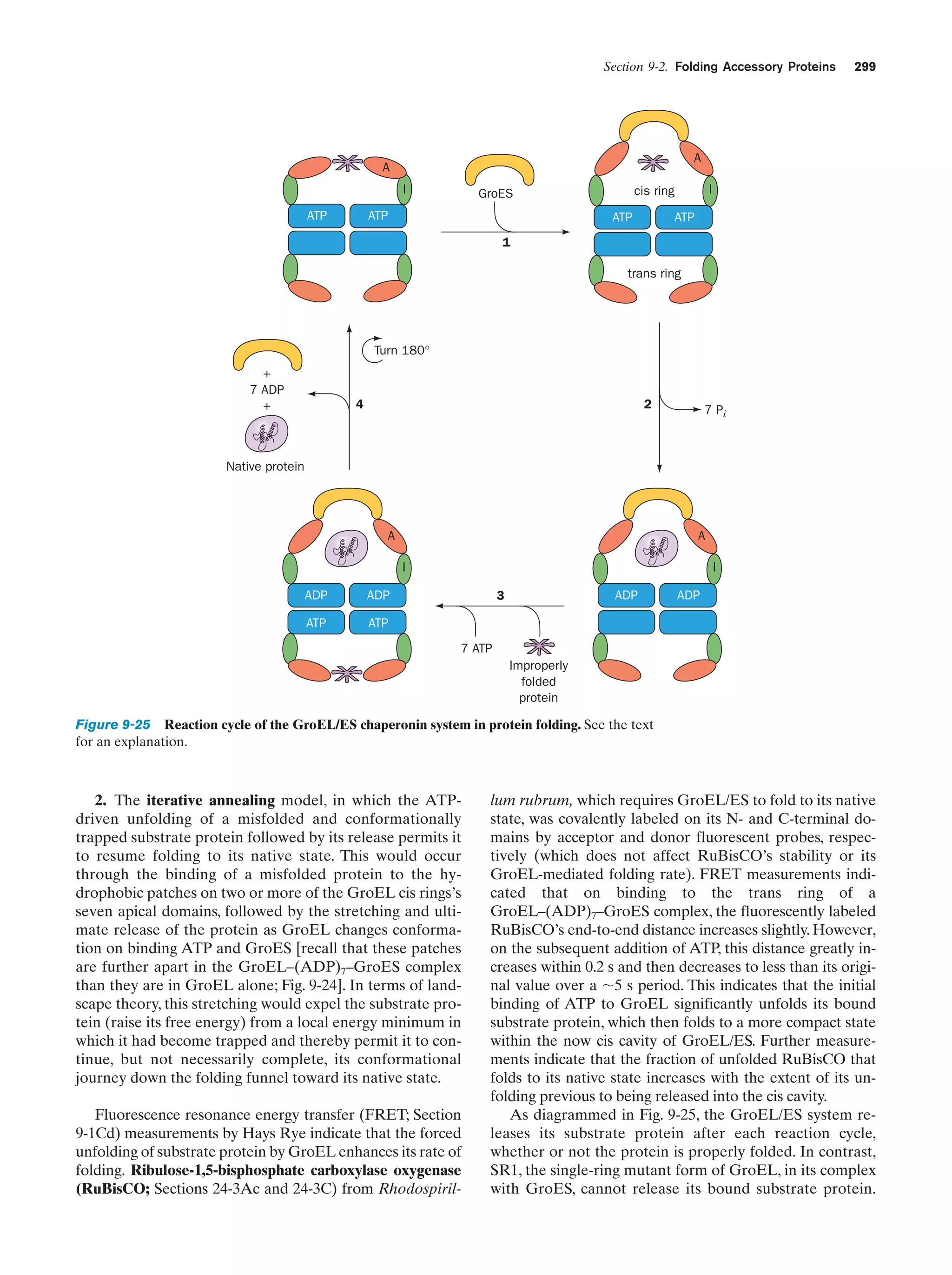 Biochemistry.4th.edition
