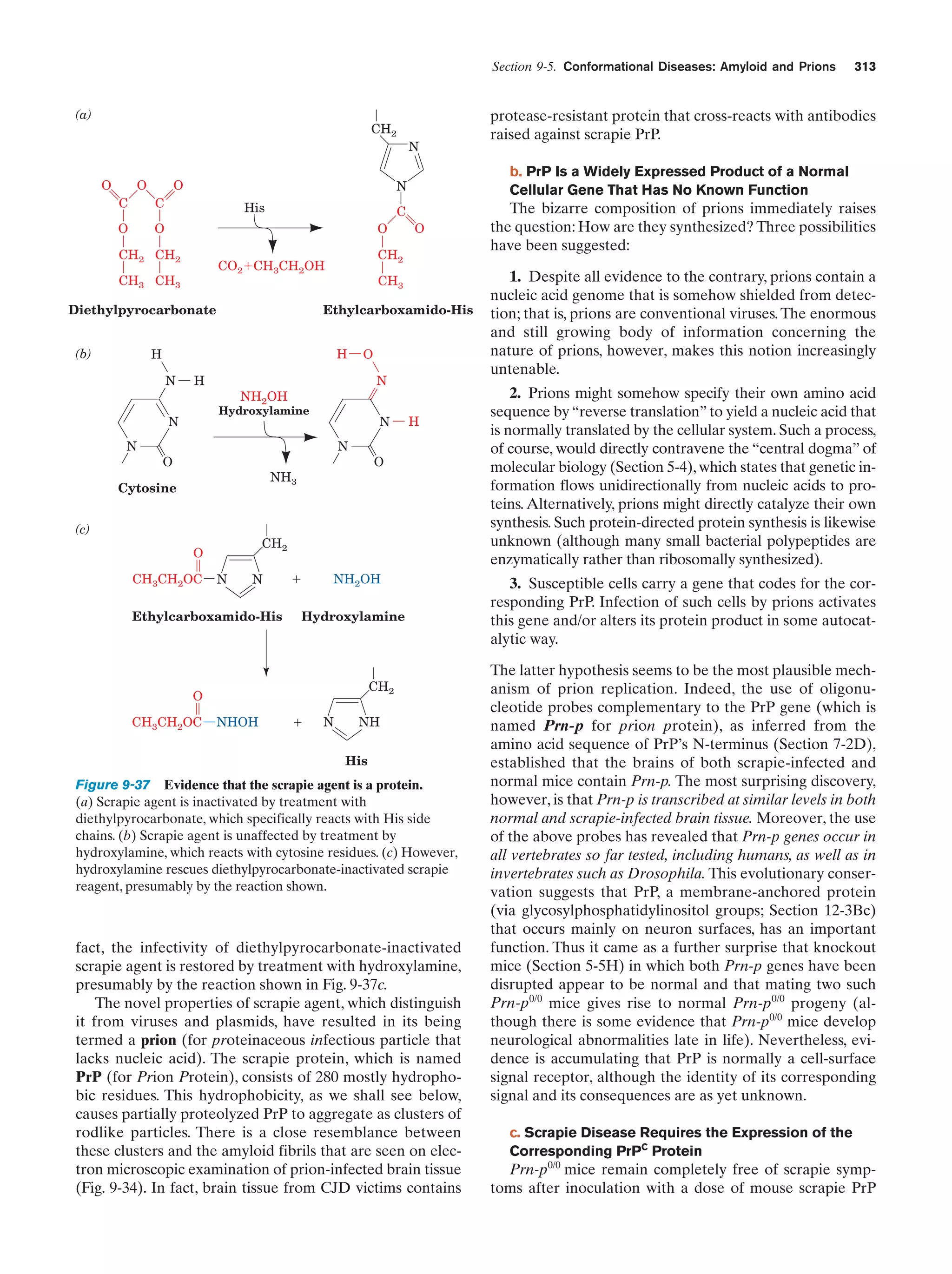 Biochemistry.4th.edition