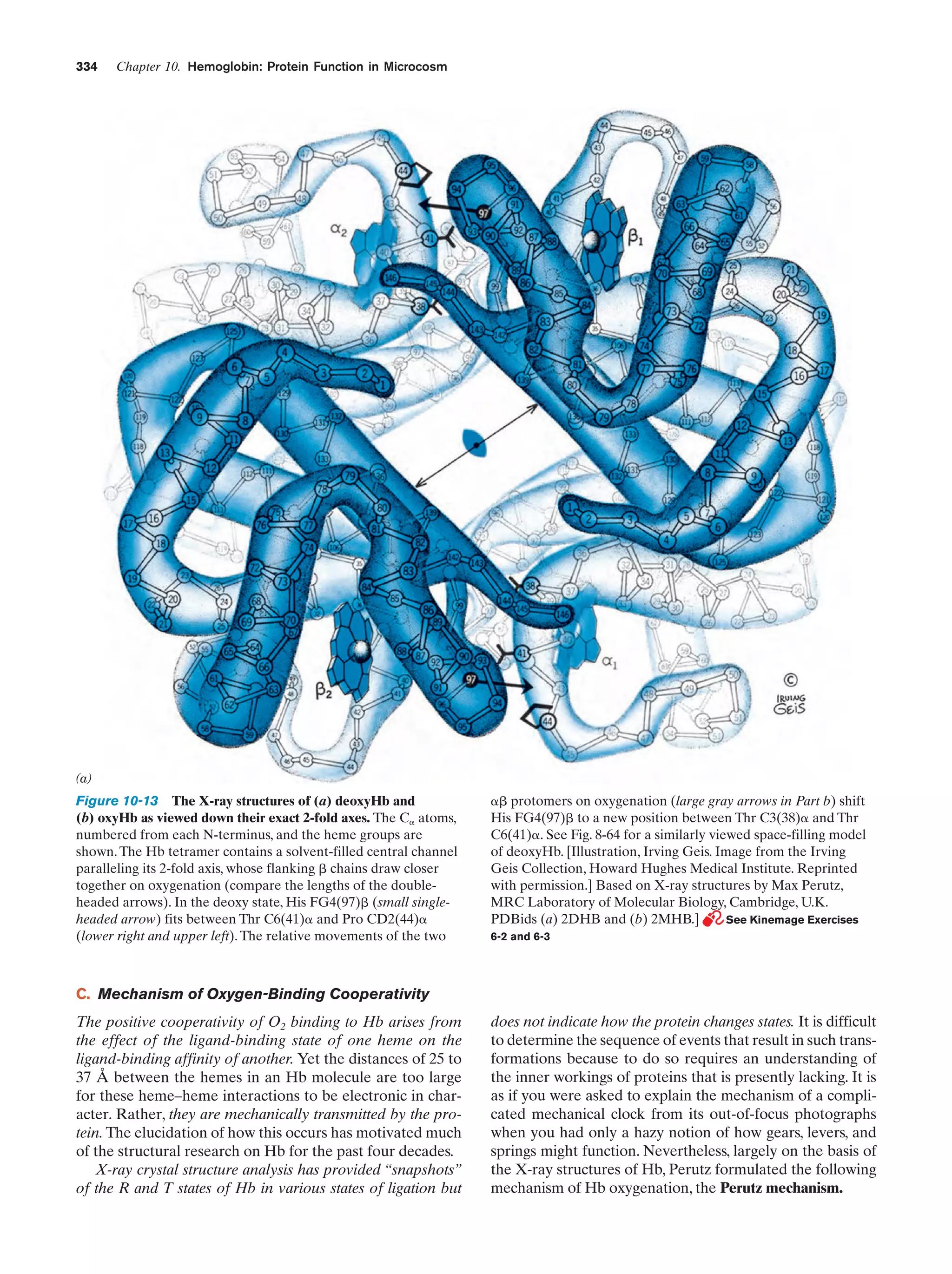 Biochemistry.4th.edition