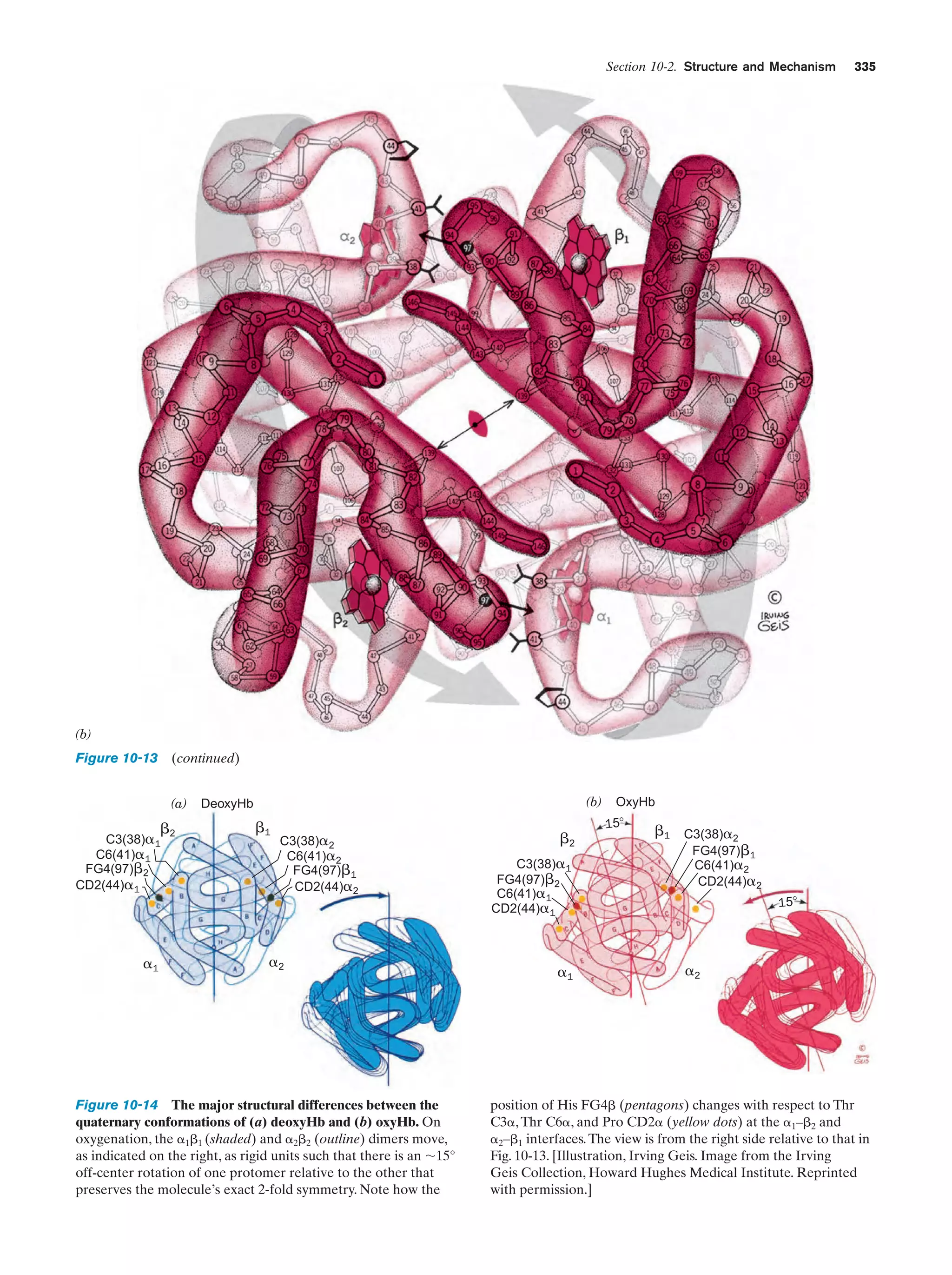 Biochemistry.4th.edition