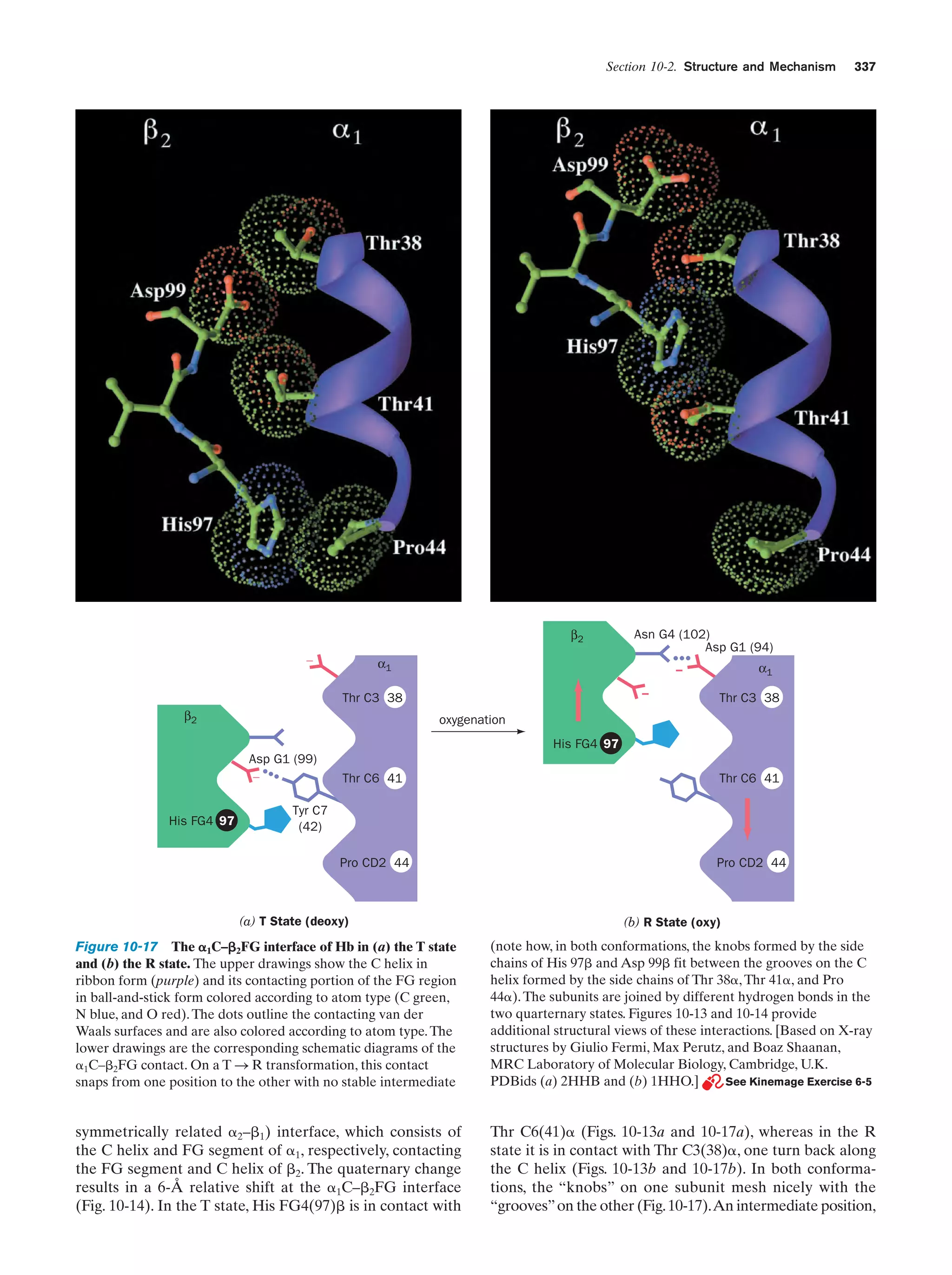 Biochemistry.4th.edition
