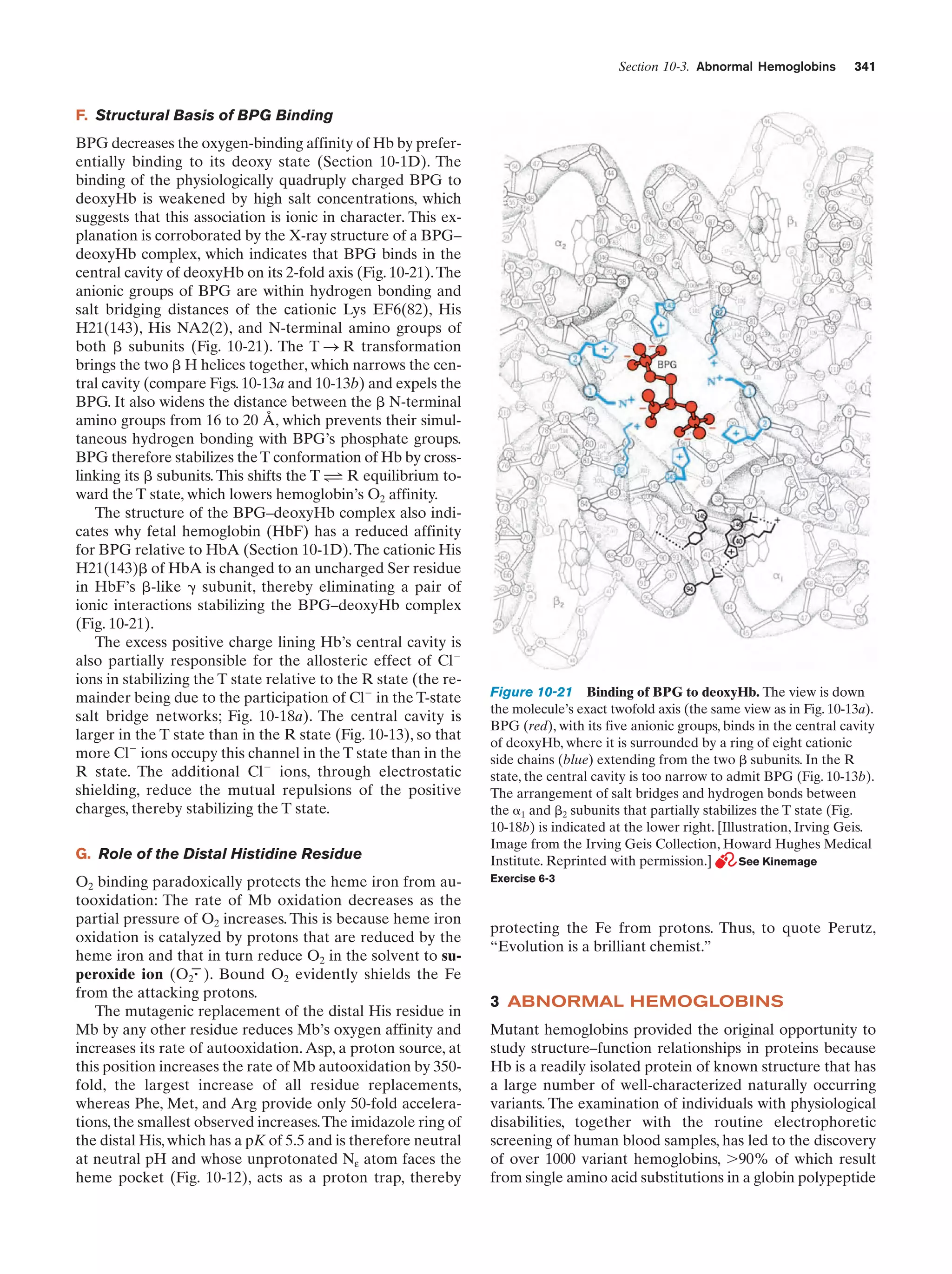 Biochemistry.4th.edition