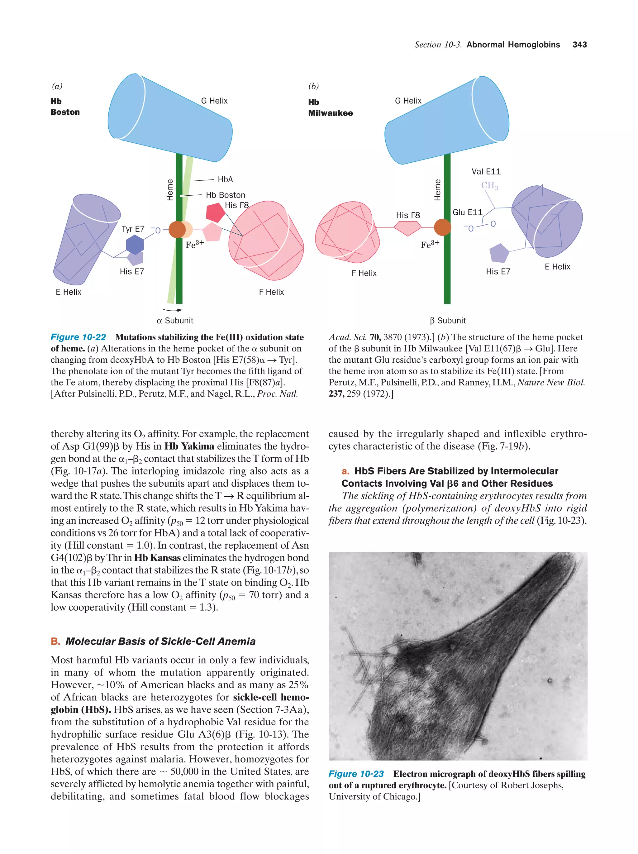 Biochemistry.4th.edition