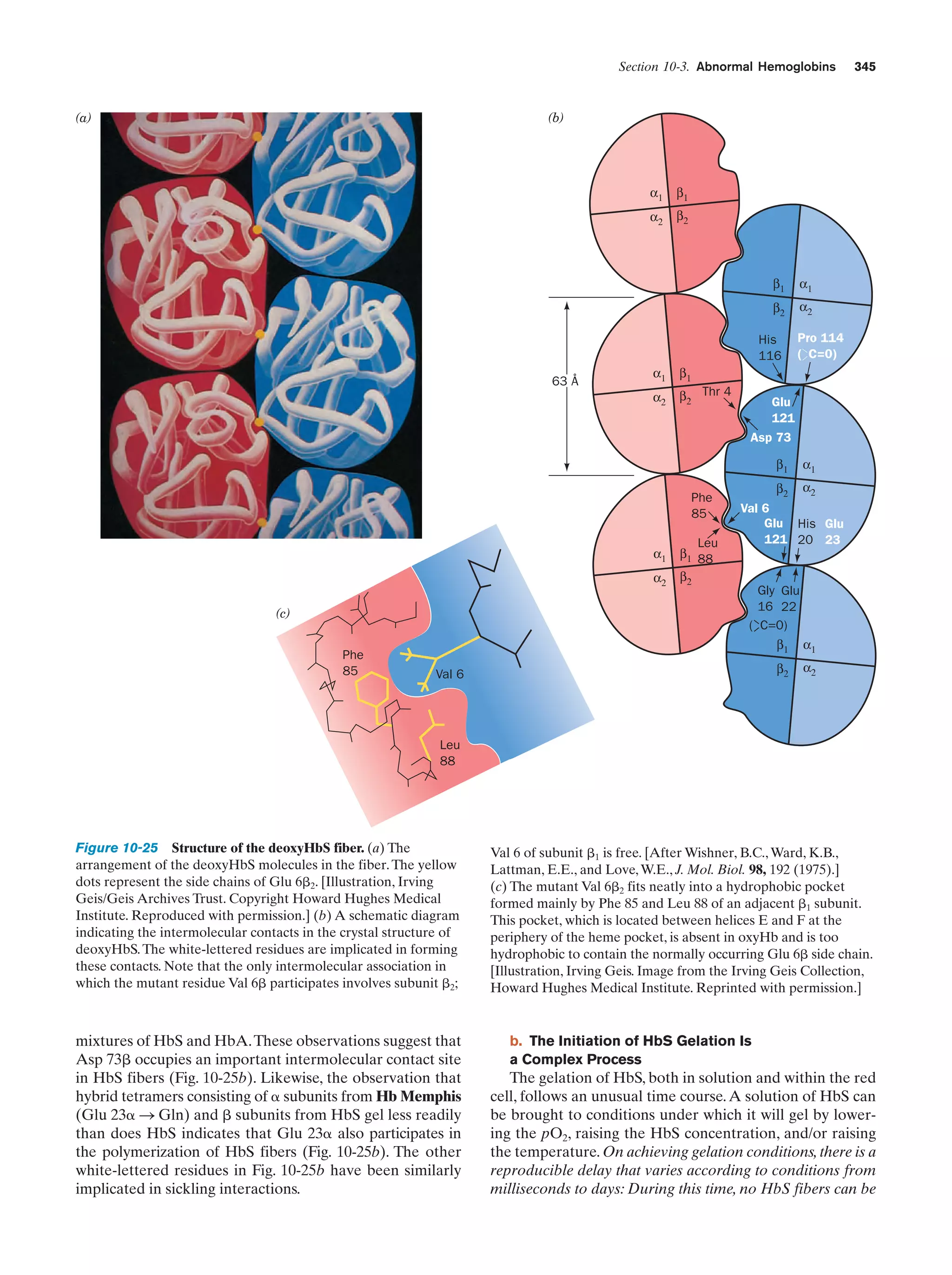 Biochemistry.4th.edition