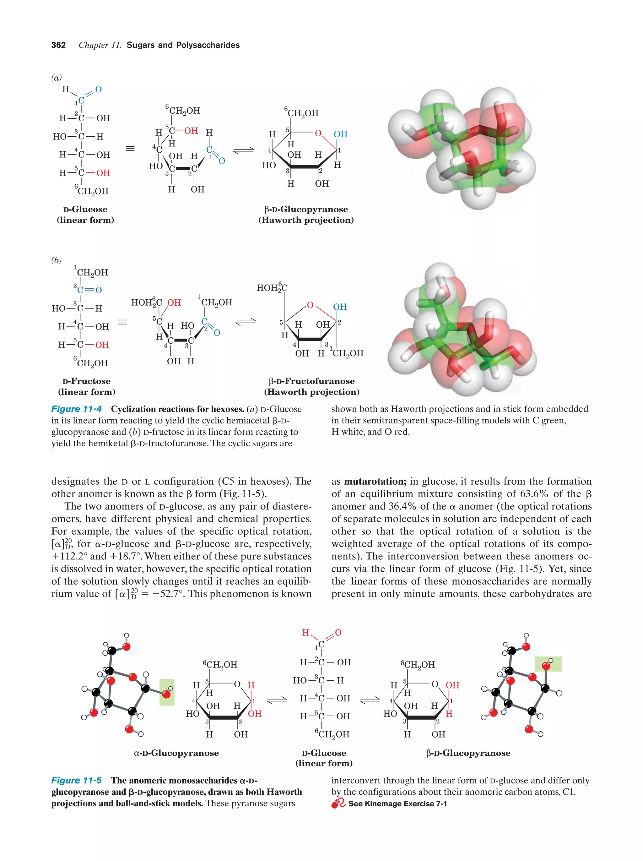 Biochemistry.4th.edition