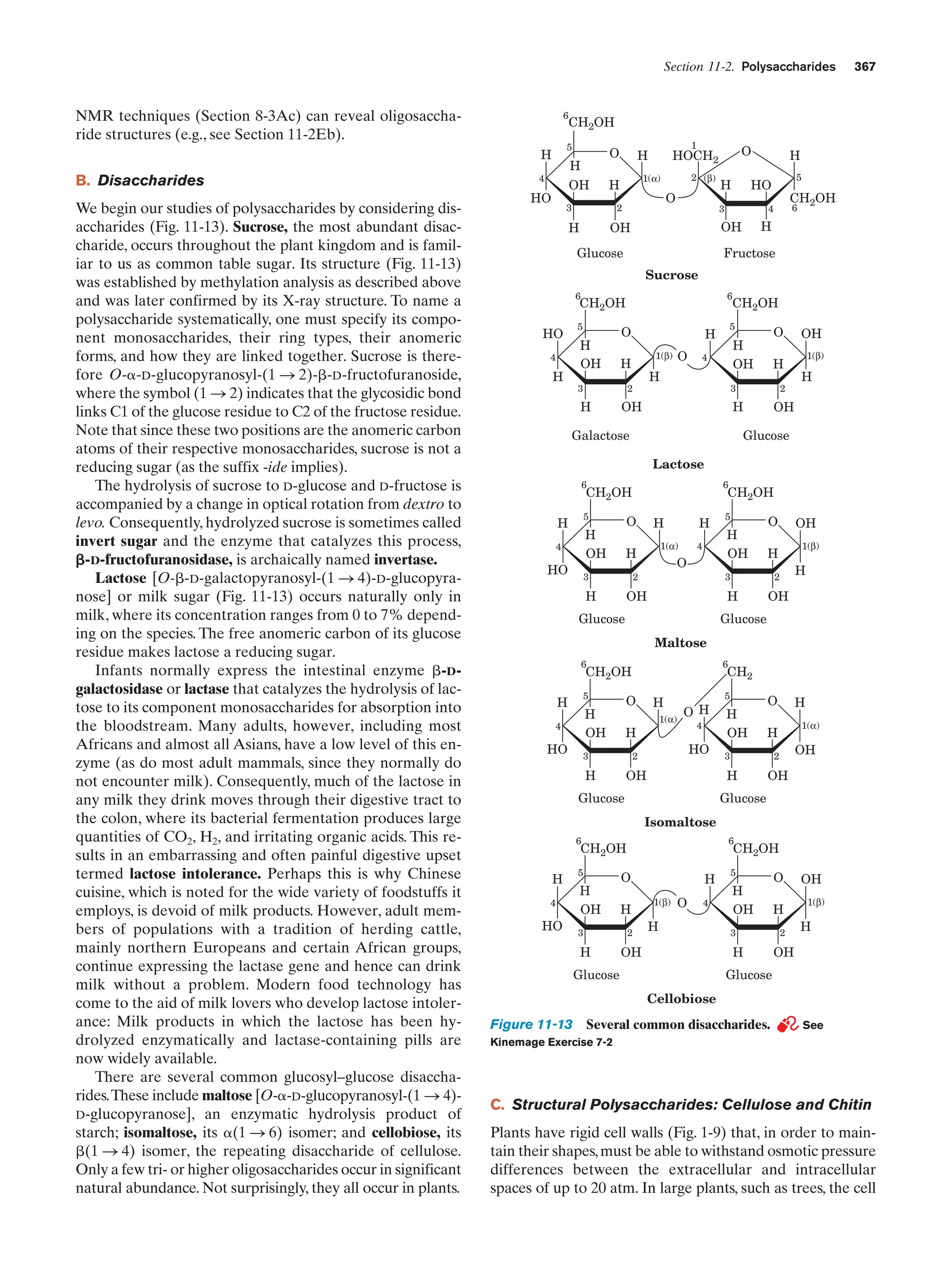 Biochemistry.4th.edition