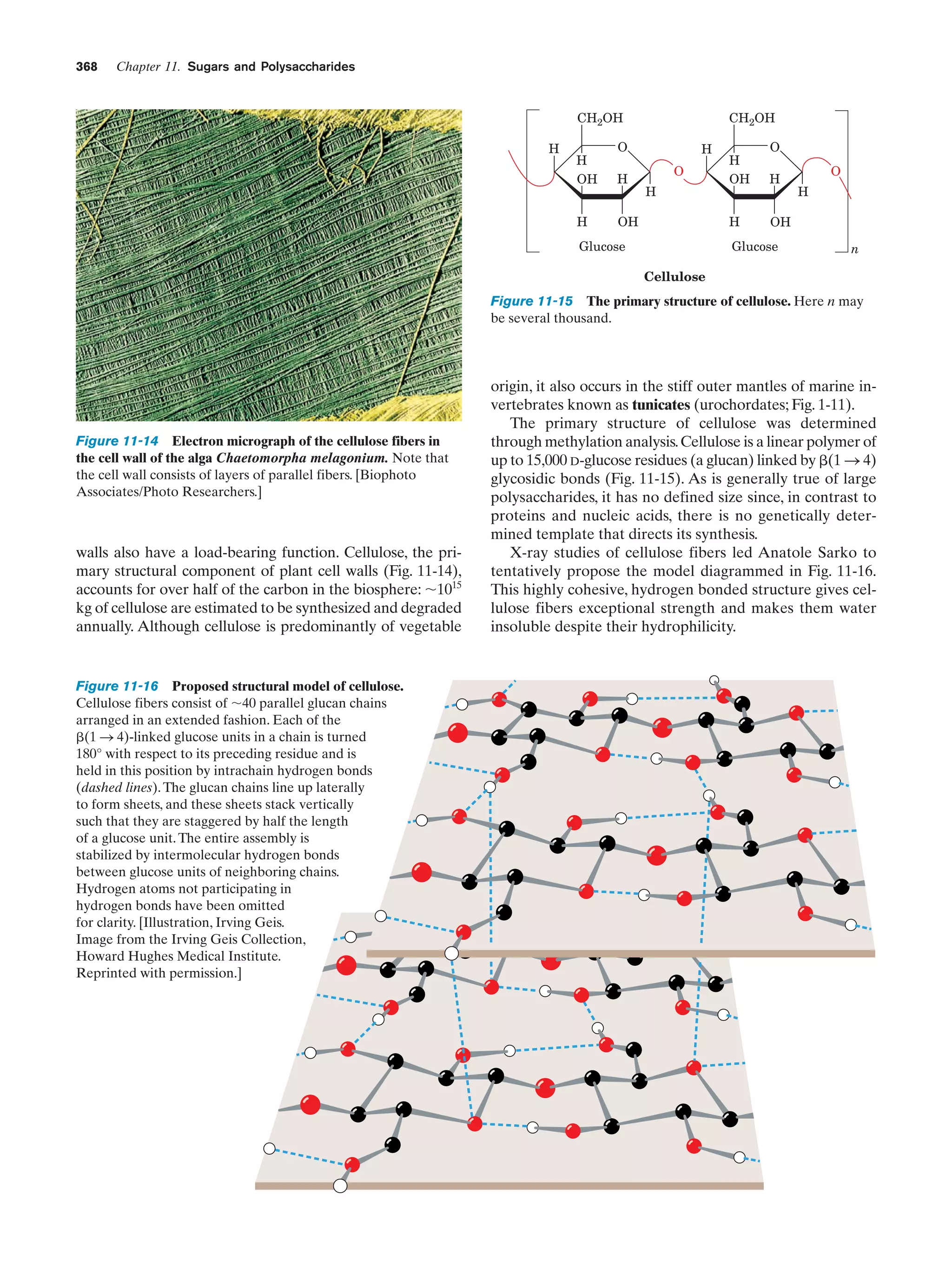 Biochemistry.4th.edition