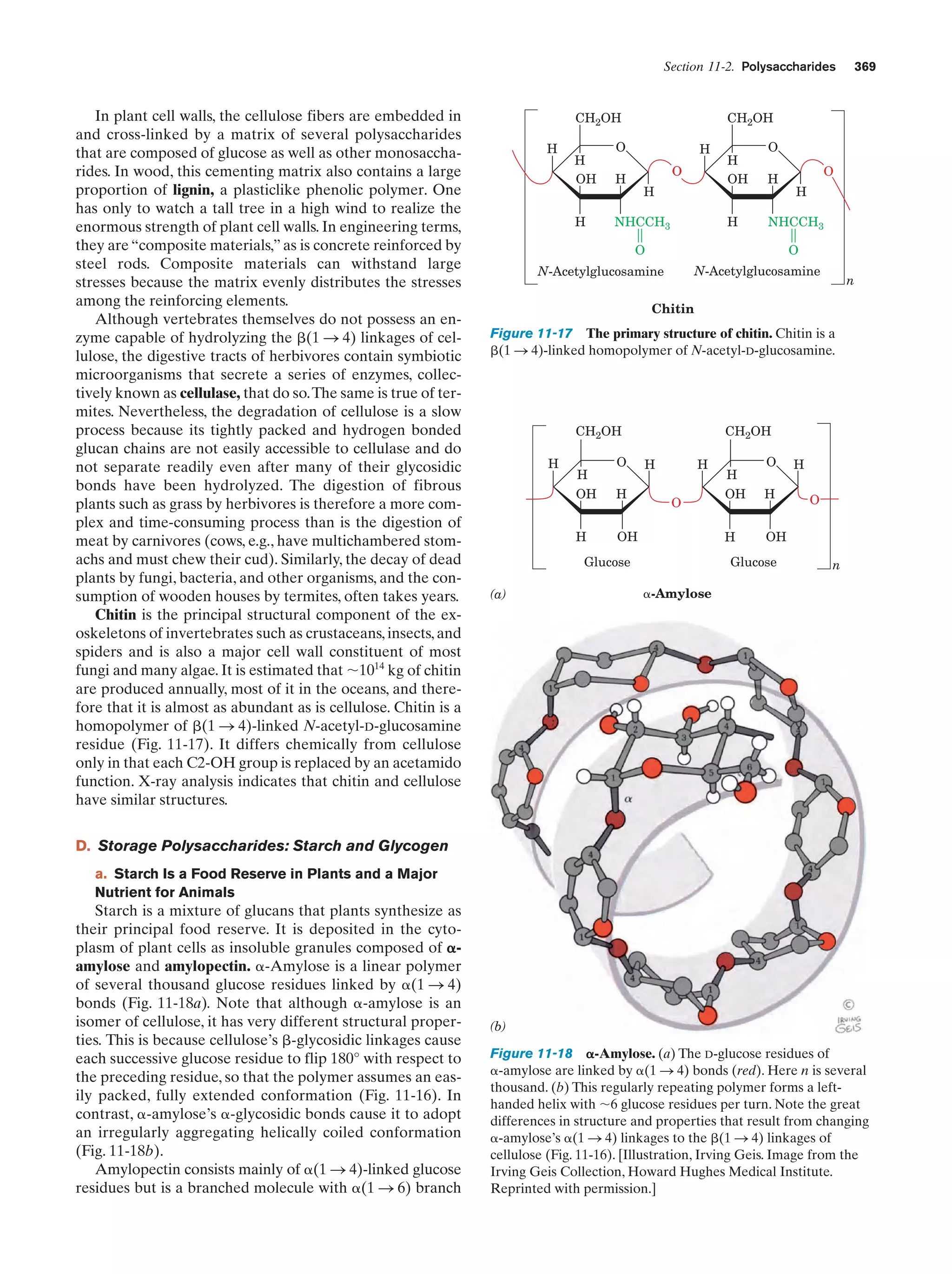 Biochemistry.4th.edition