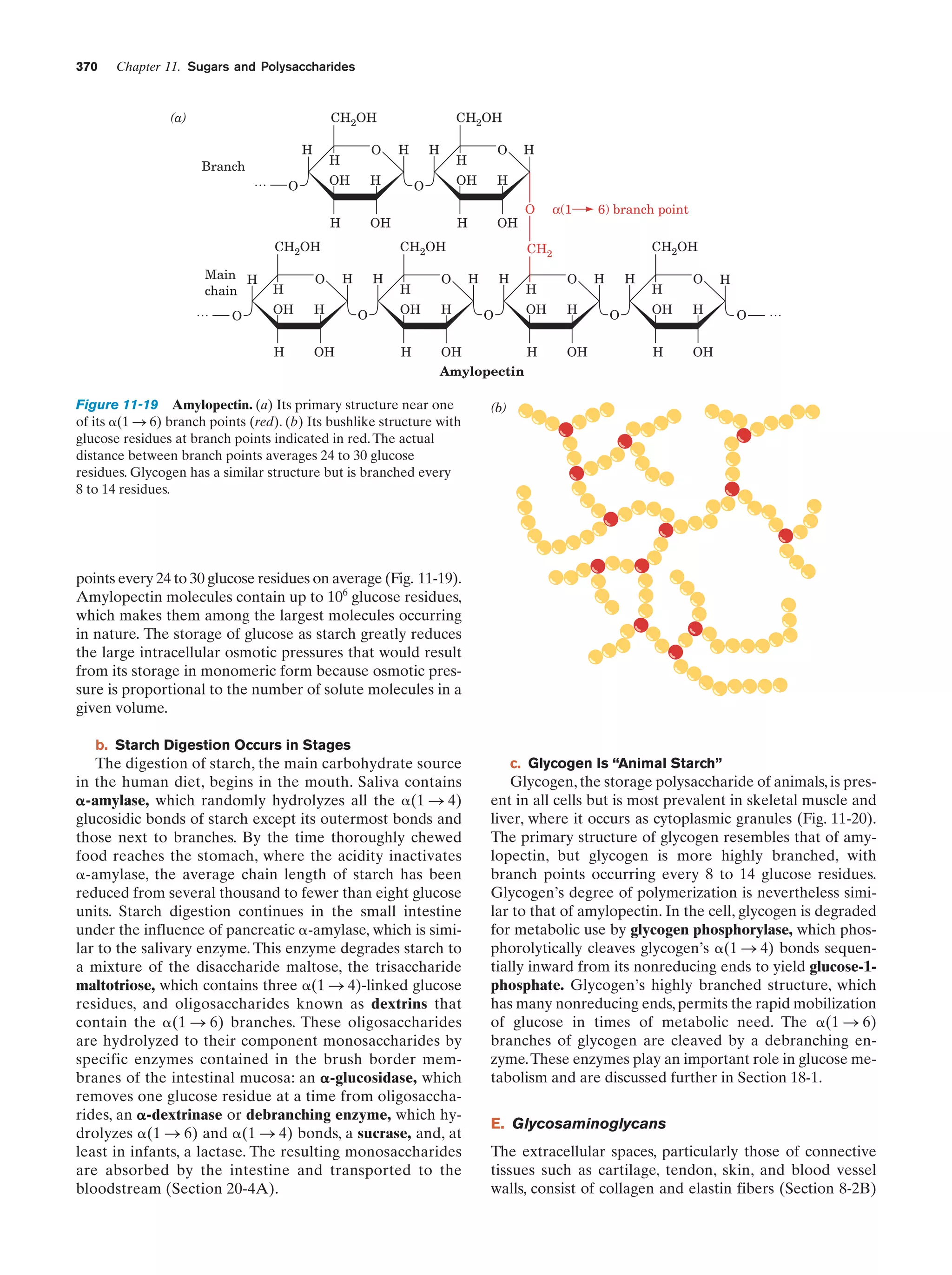 Biochemistry.4th.edition