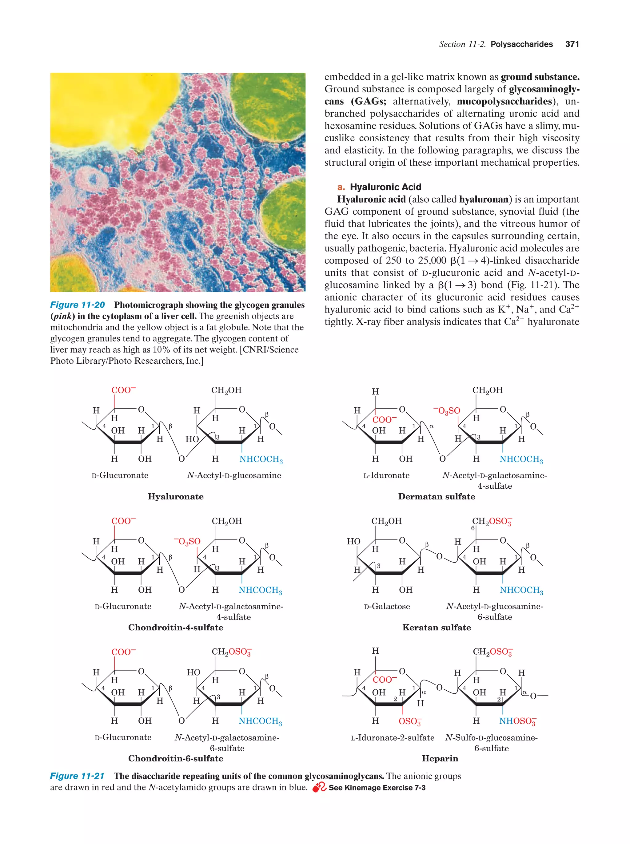 Biochemistry.4th.edition