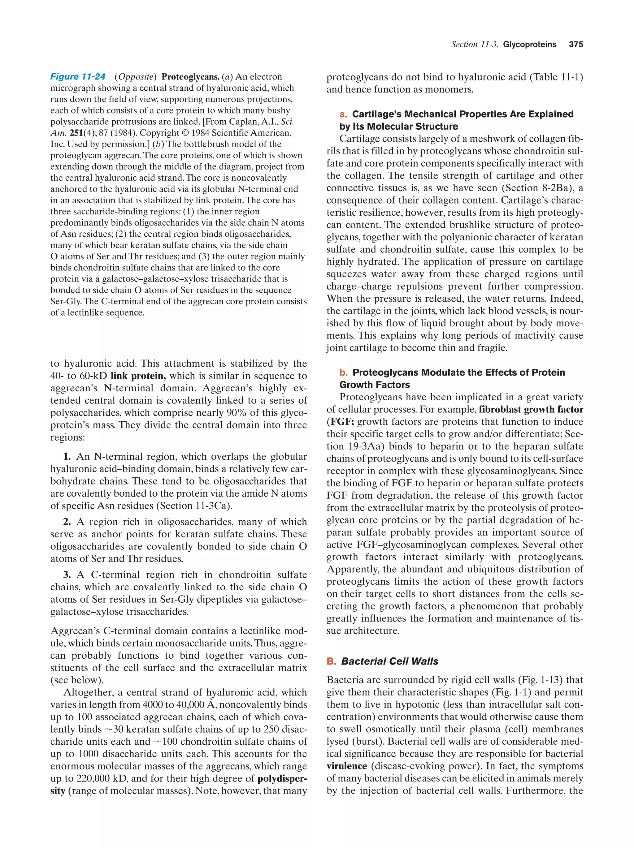 Biochemistry.4th.edition