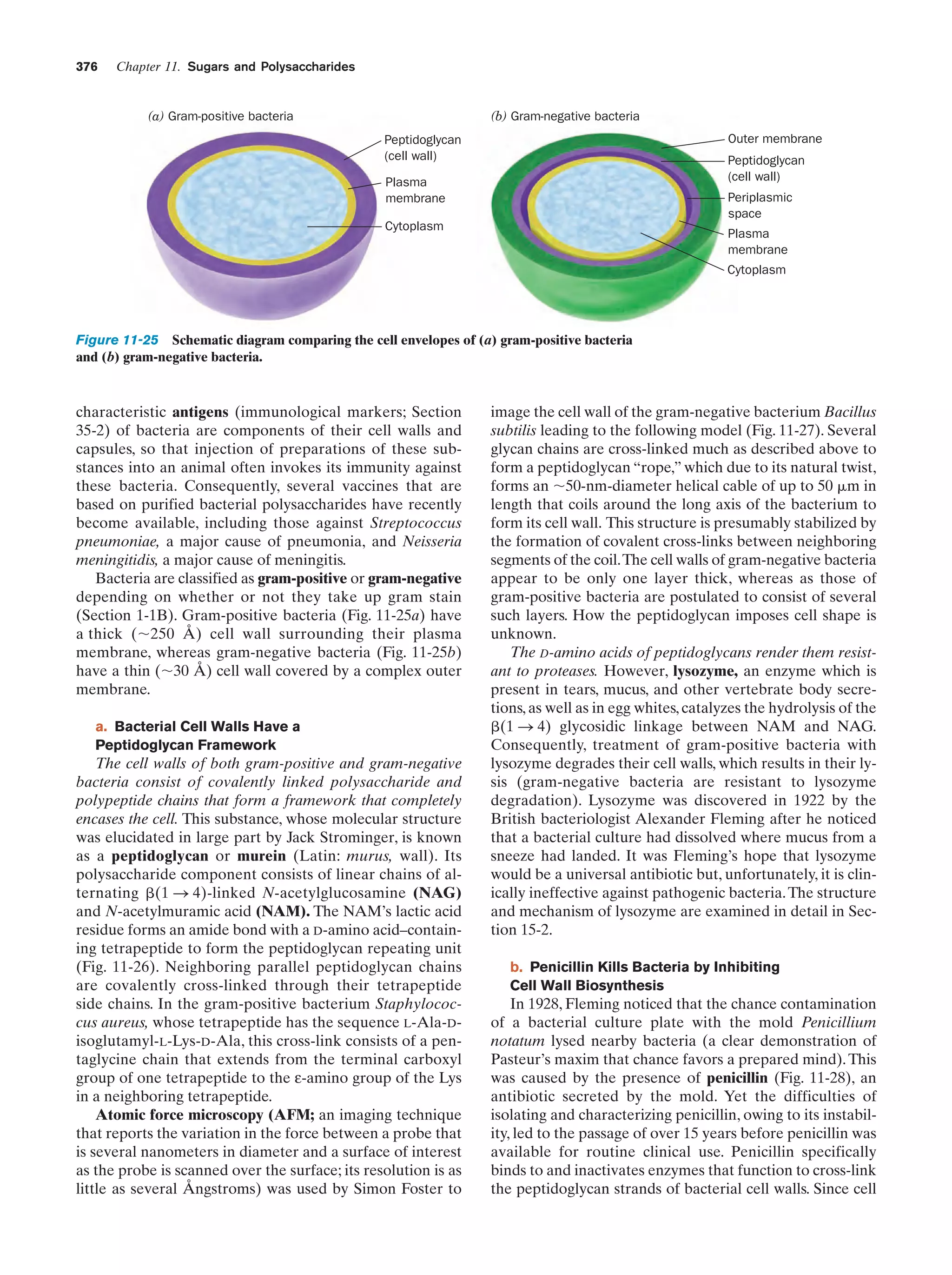 Biochemistry.4th.edition