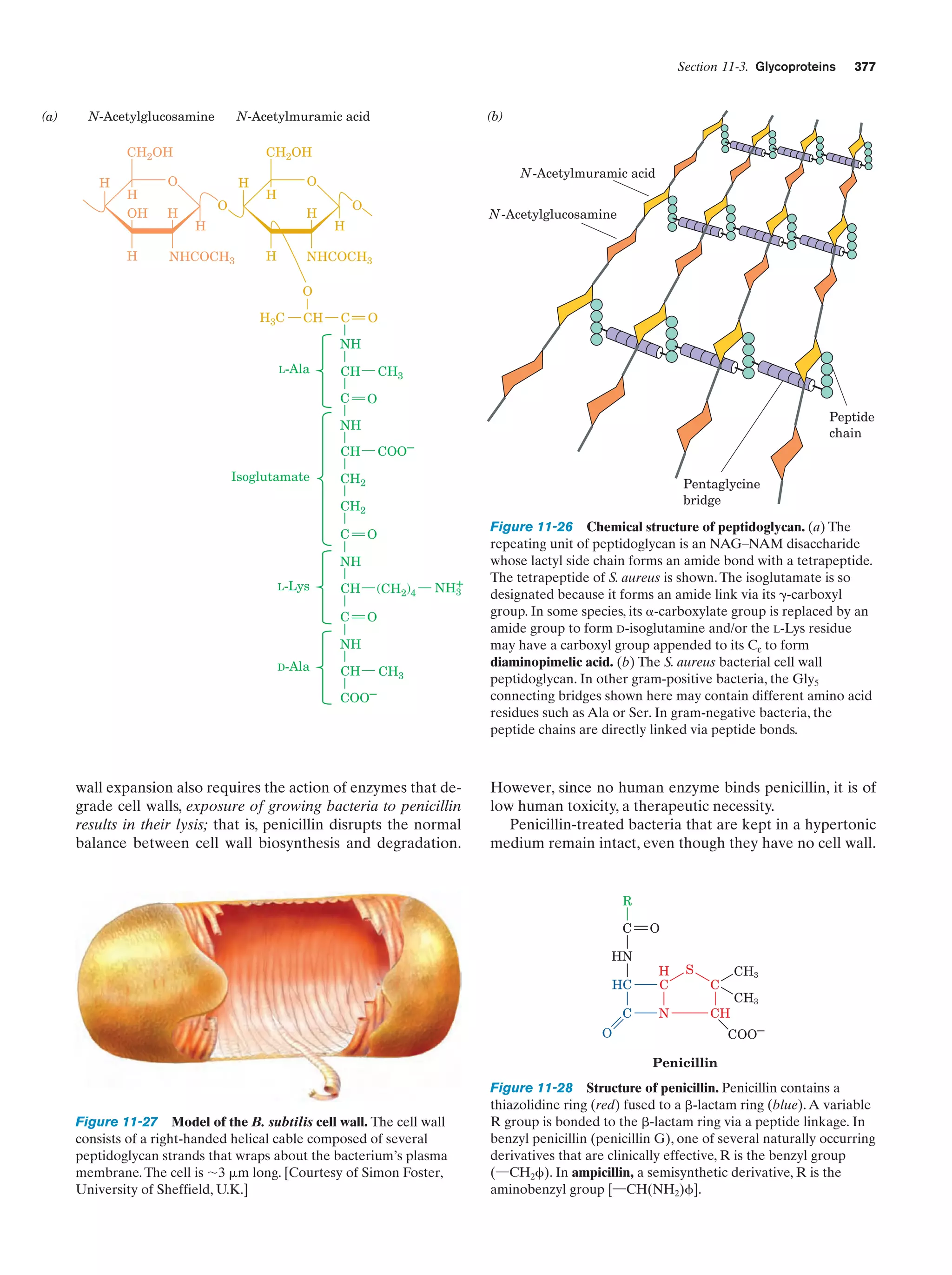 Biochemistry.4th.edition