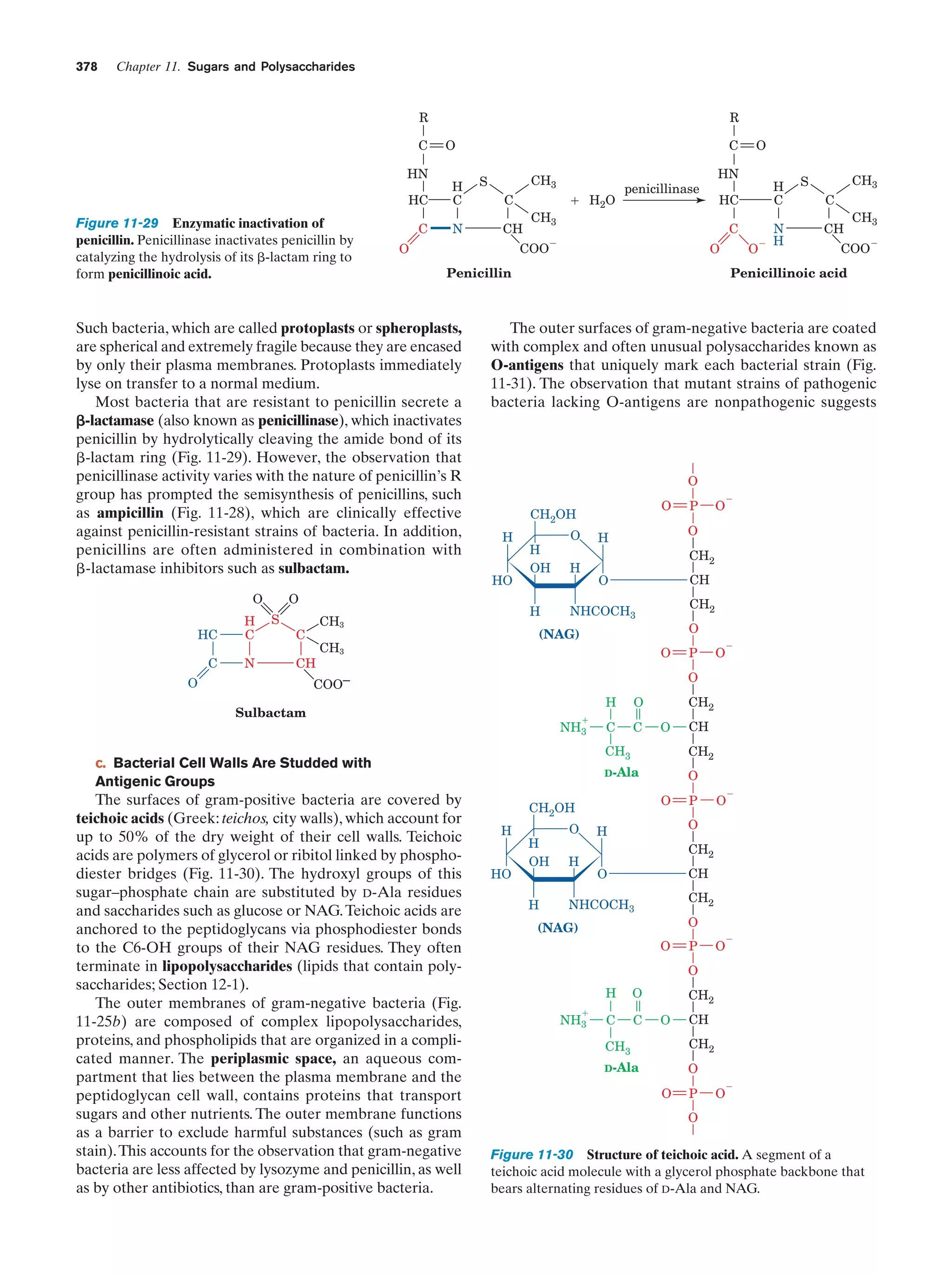 Biochemistry.4th.edition