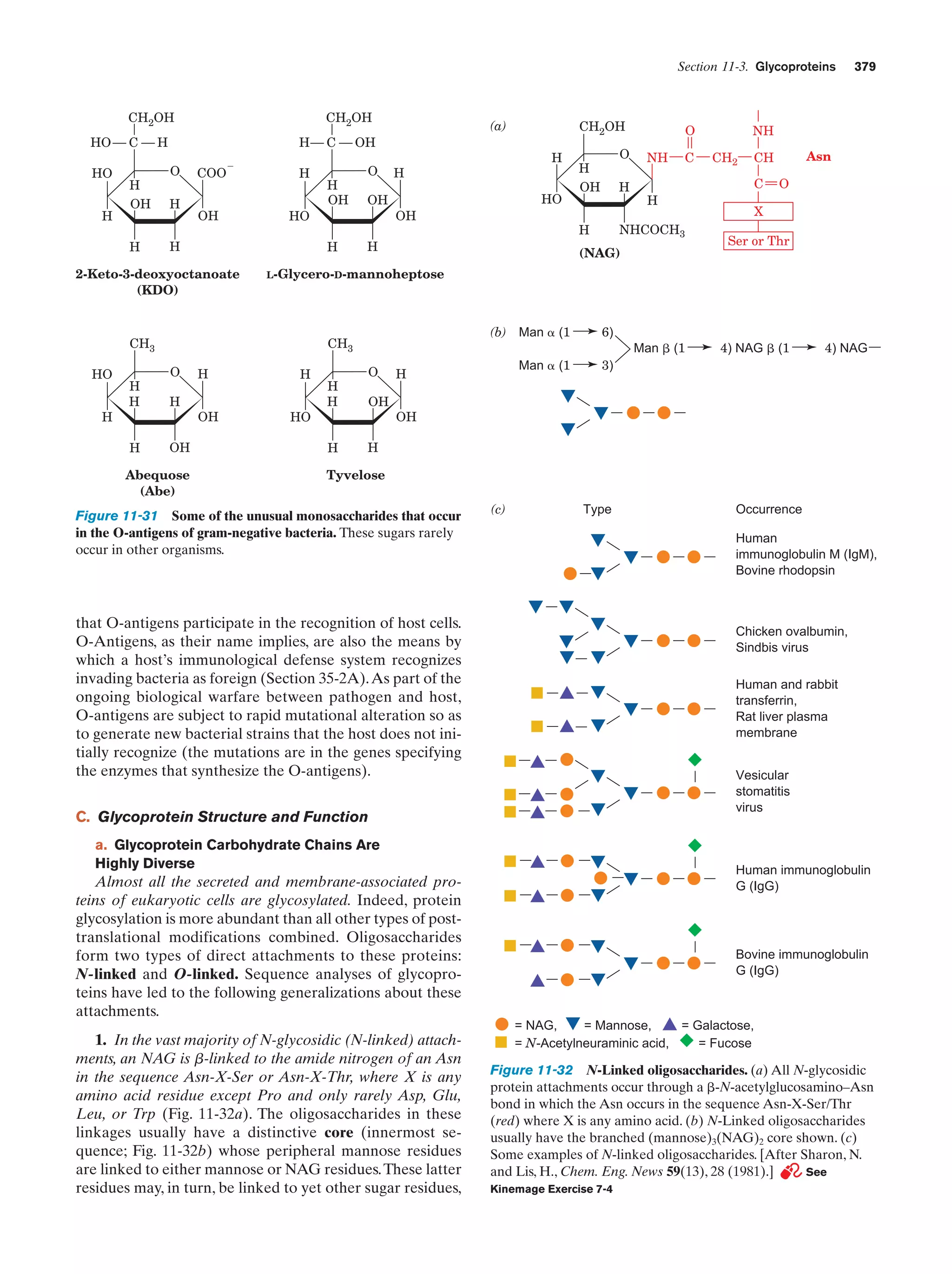 Biochemistry.4th.edition