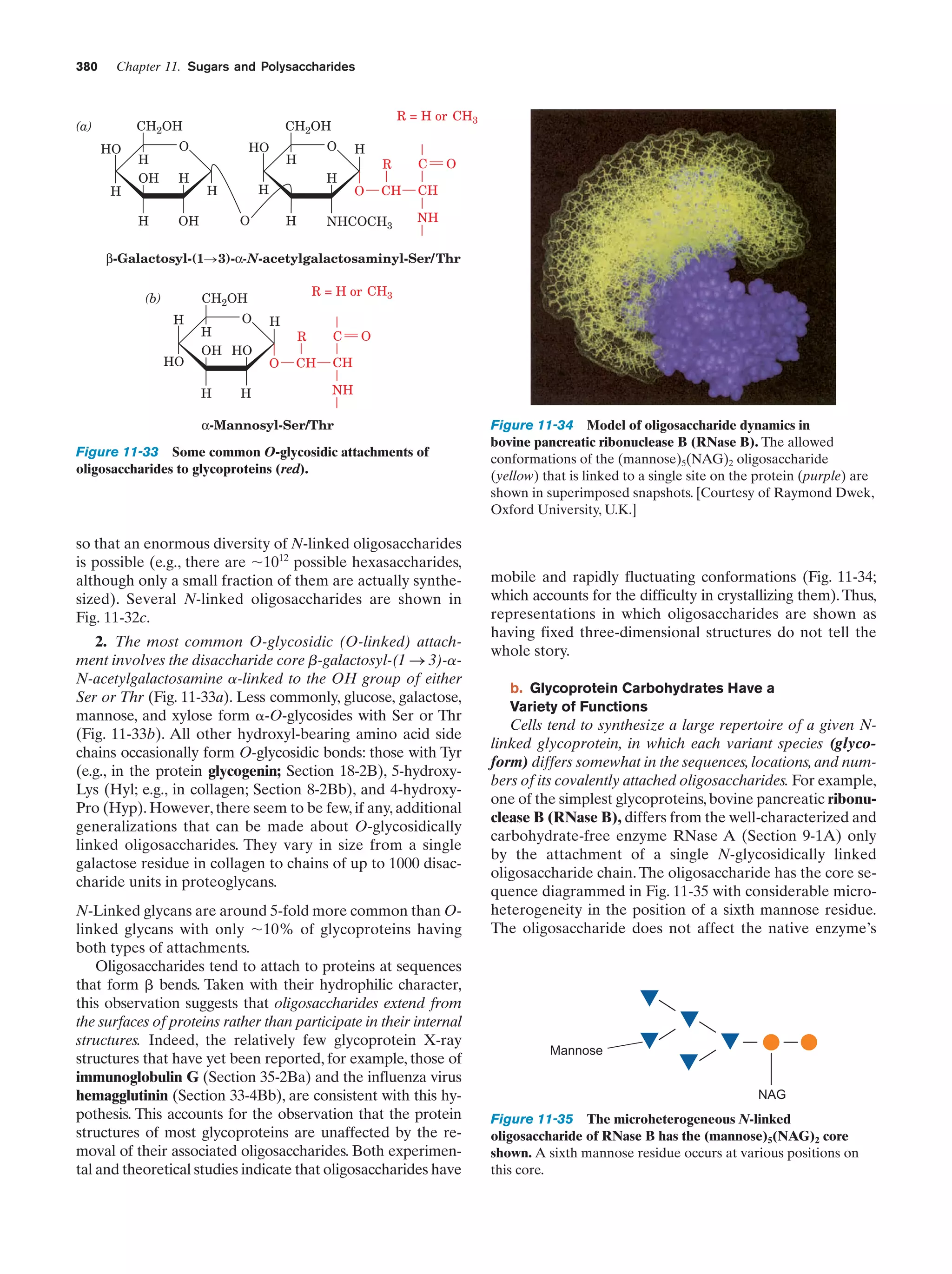 Biochemistry.4th.edition
