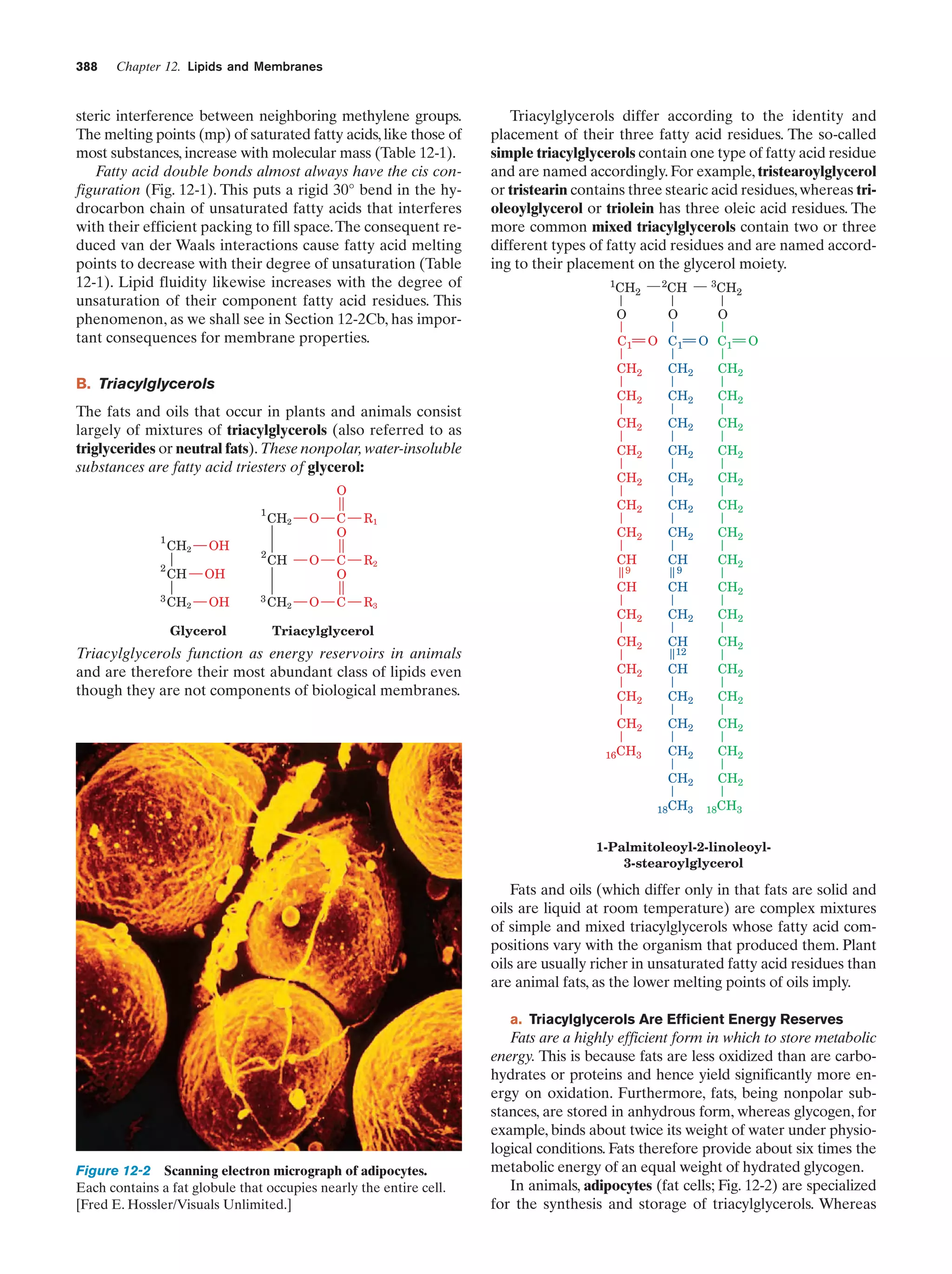 Biochemistry.4th.edition