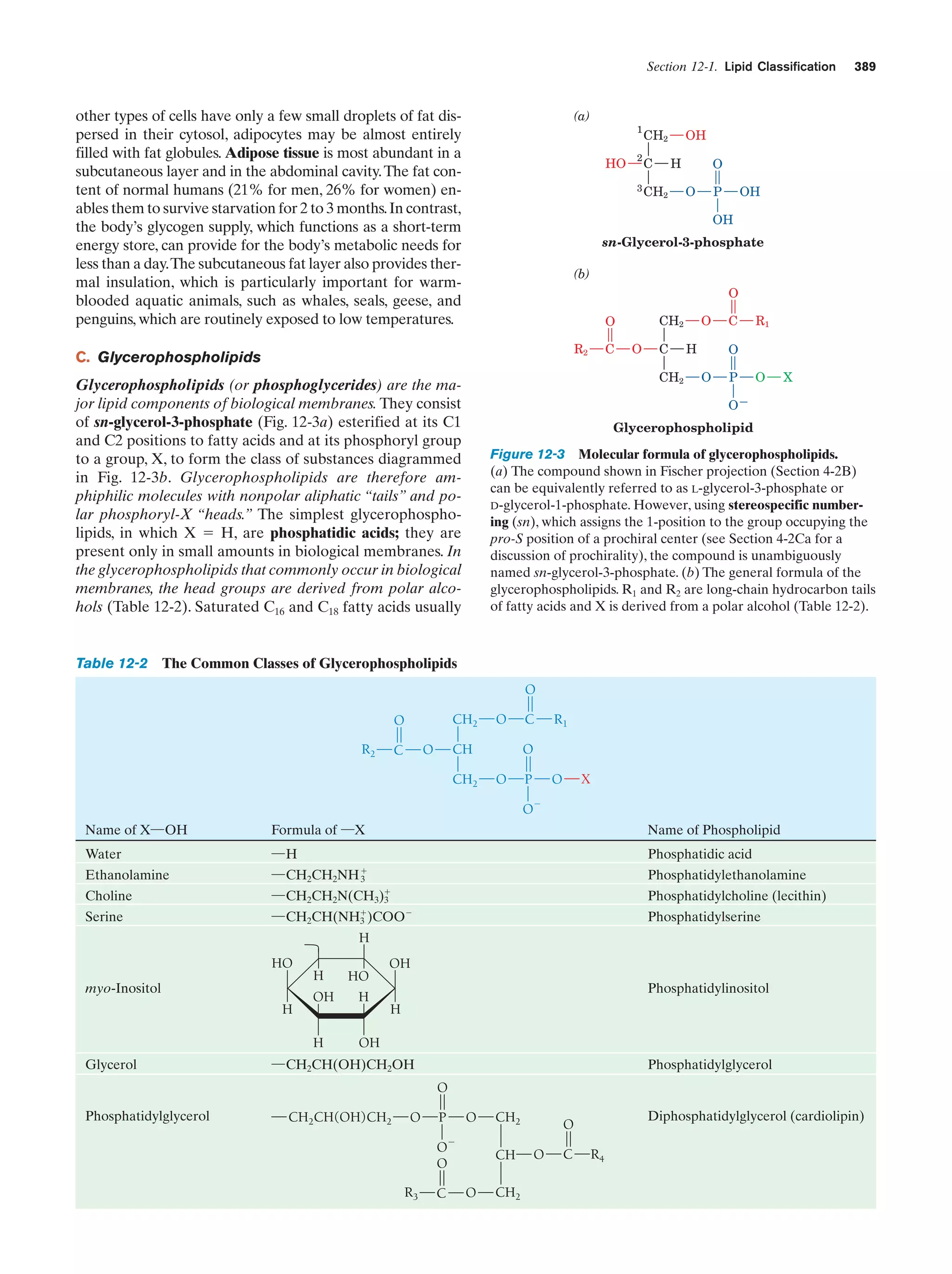 Biochemistry.4th.edition