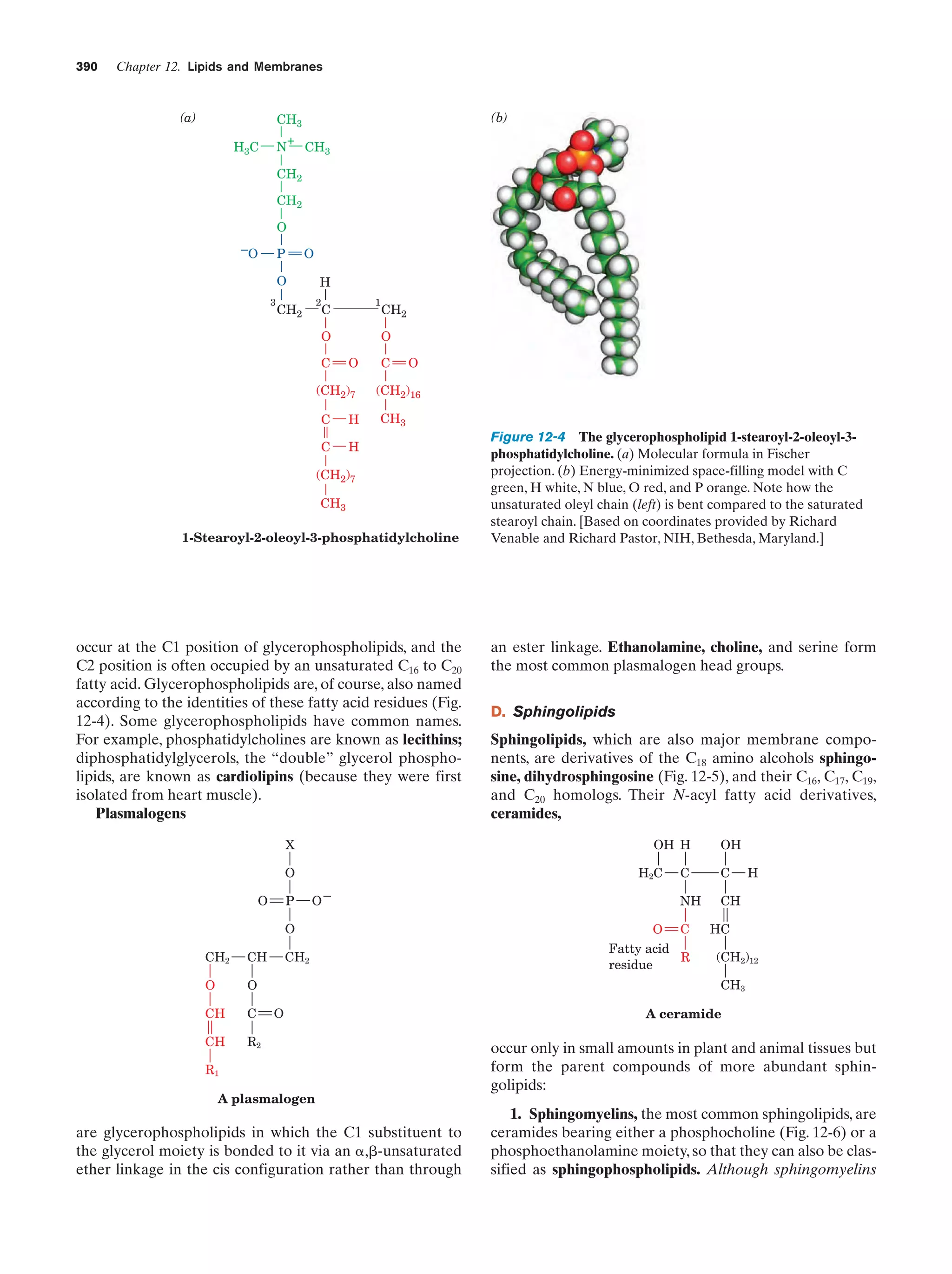 Biochemistry.4th.edition