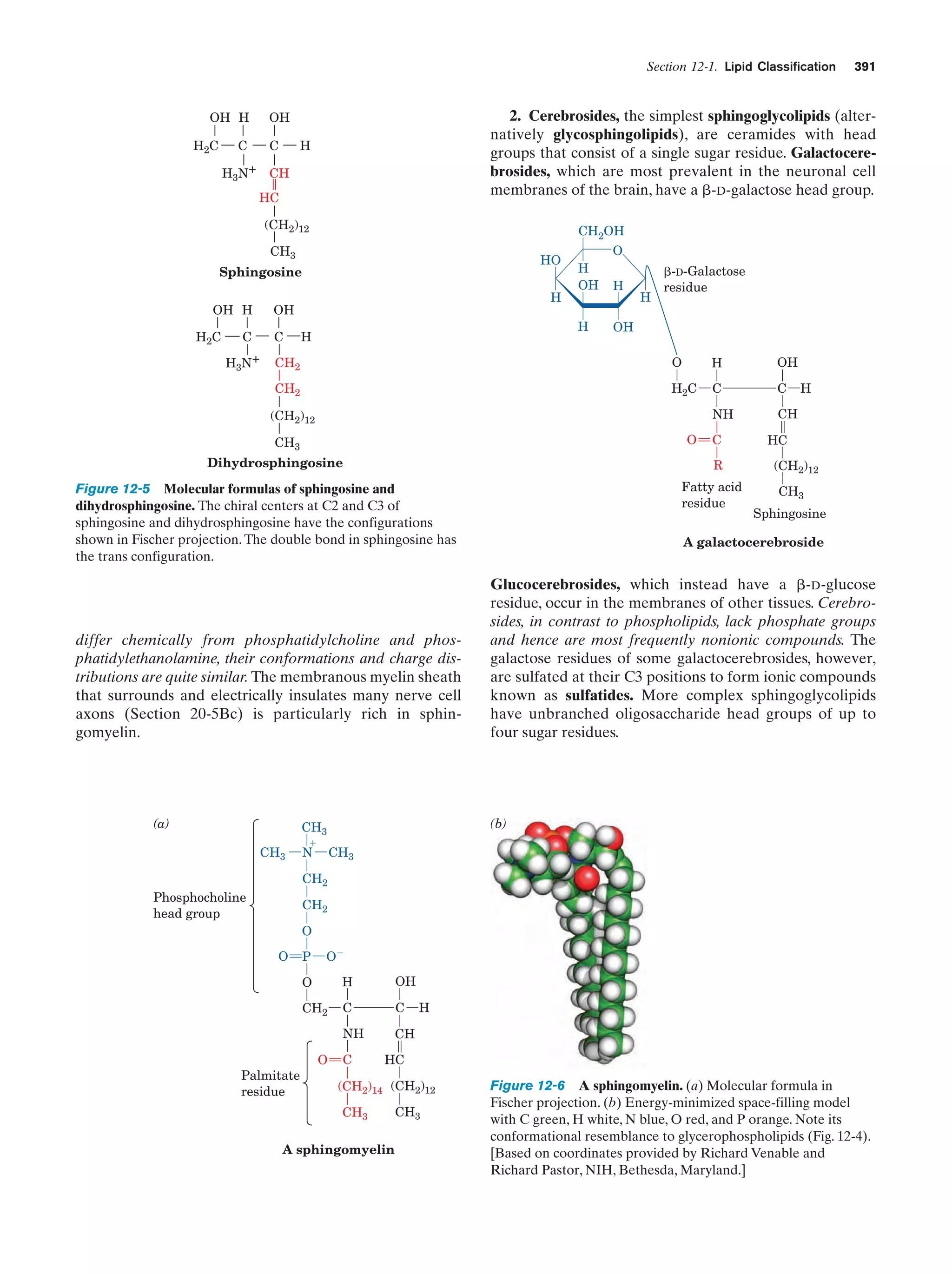 Biochemistry.4th.edition