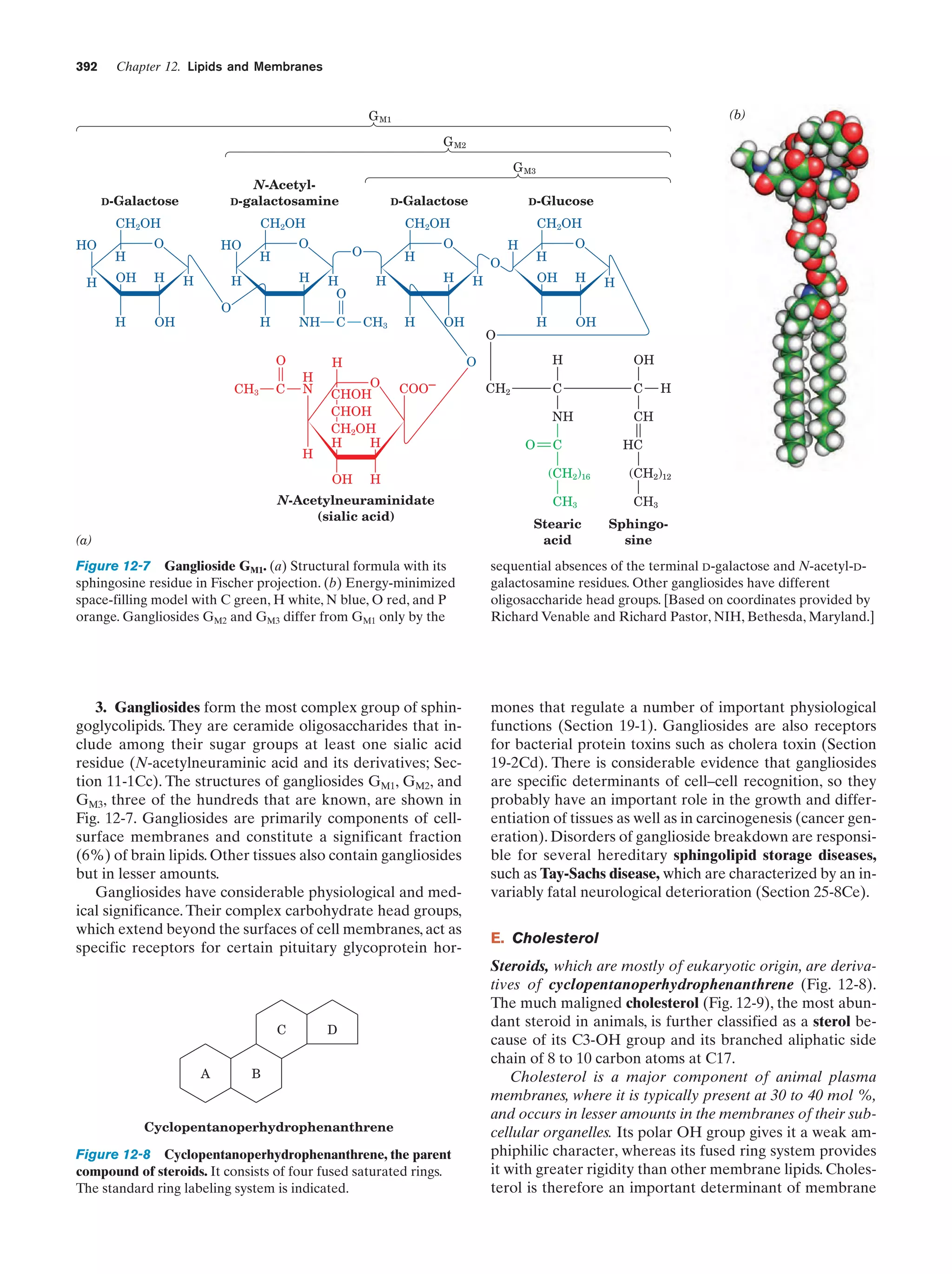 Biochemistry.4th.edition