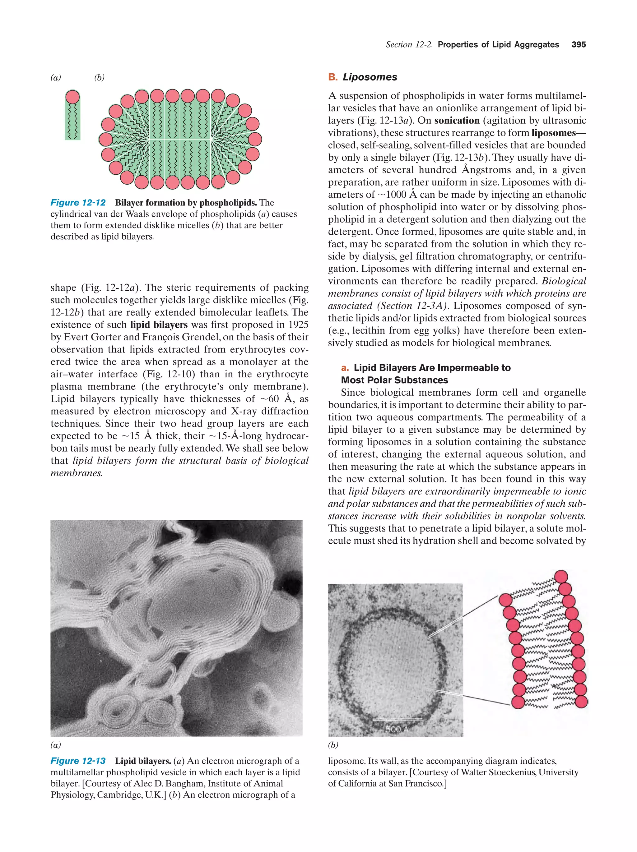 Biochemistry.4th.edition