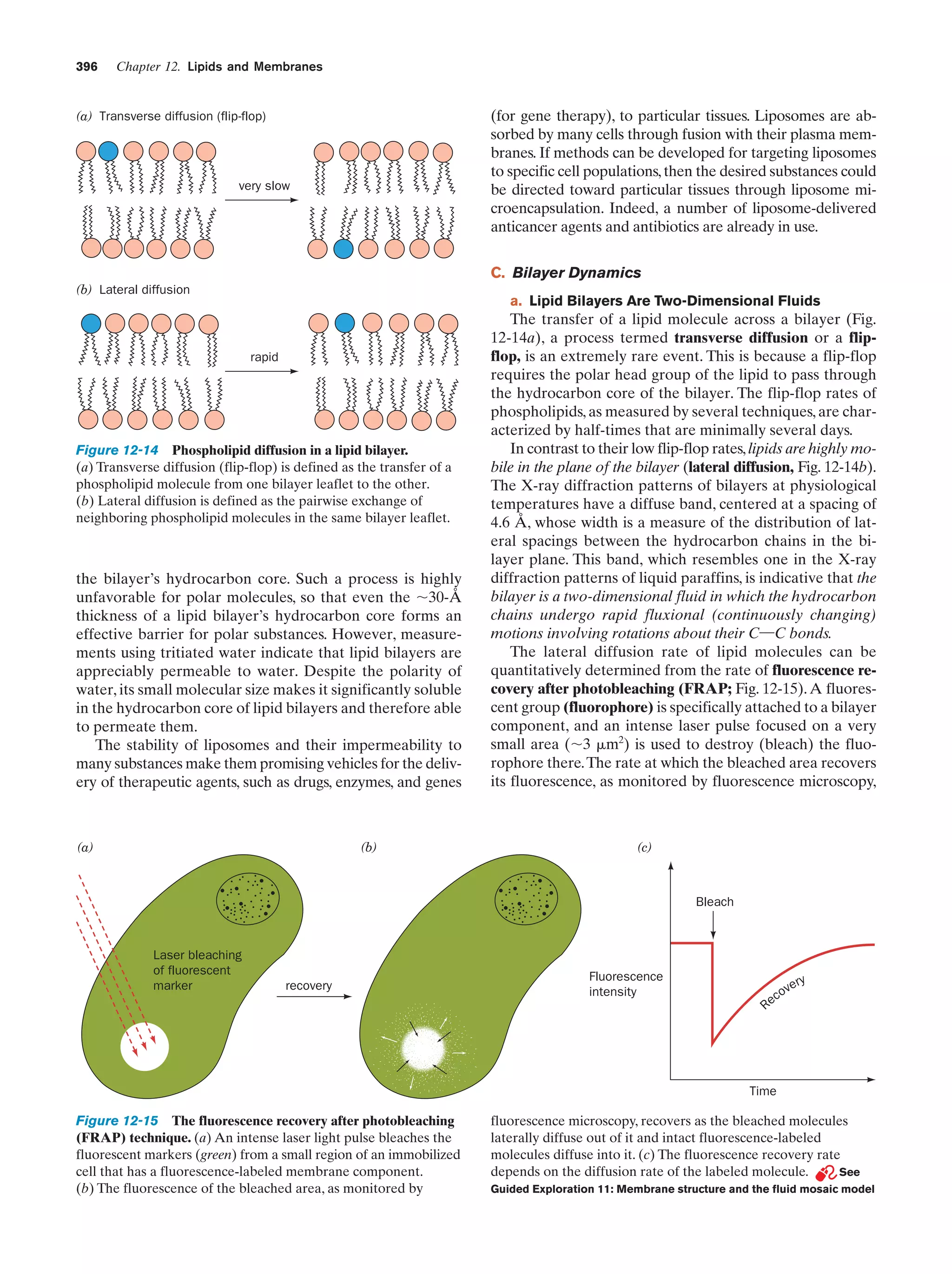 Biochemistry.4th.edition
