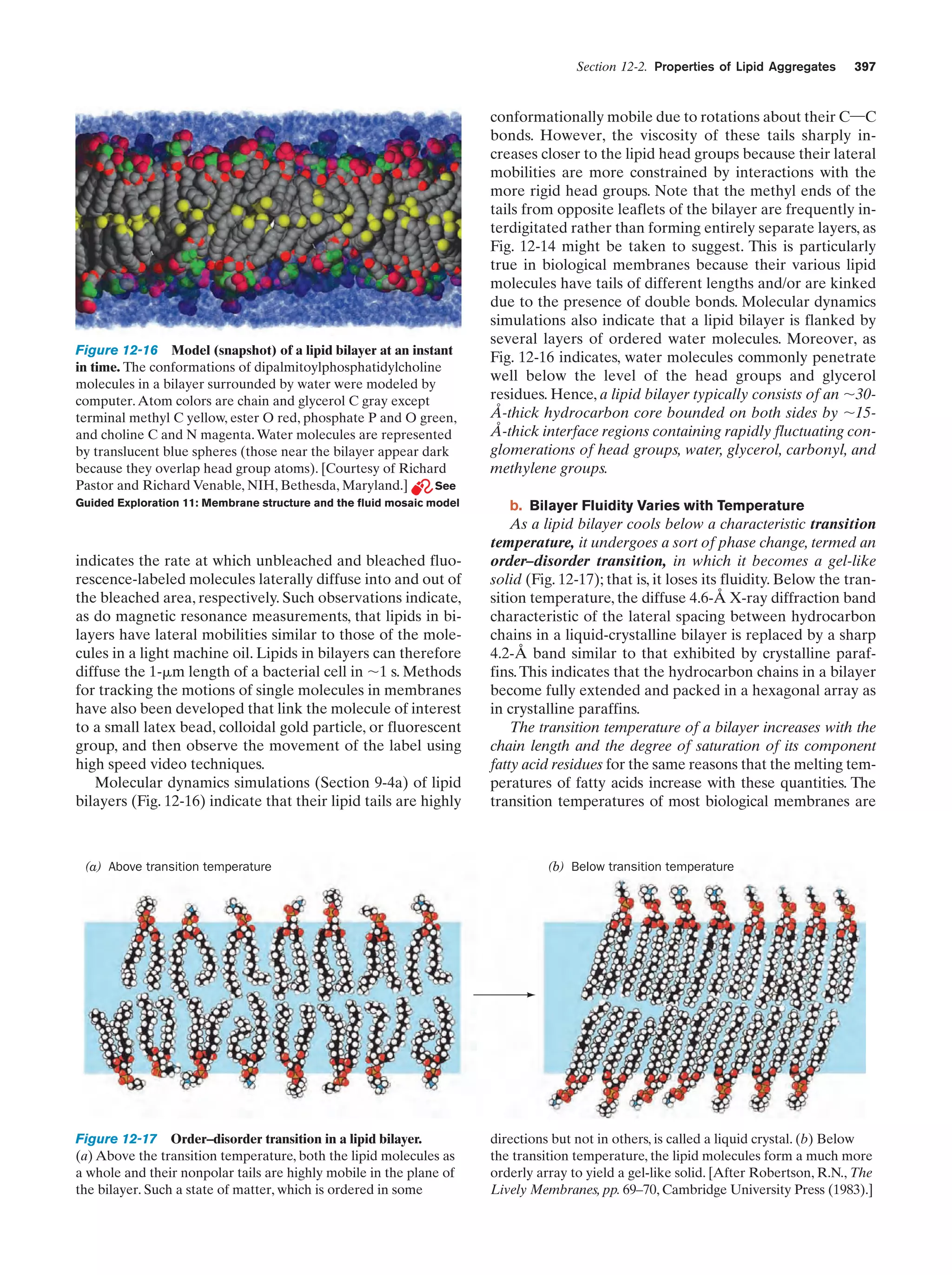 Biochemistry.4th.edition