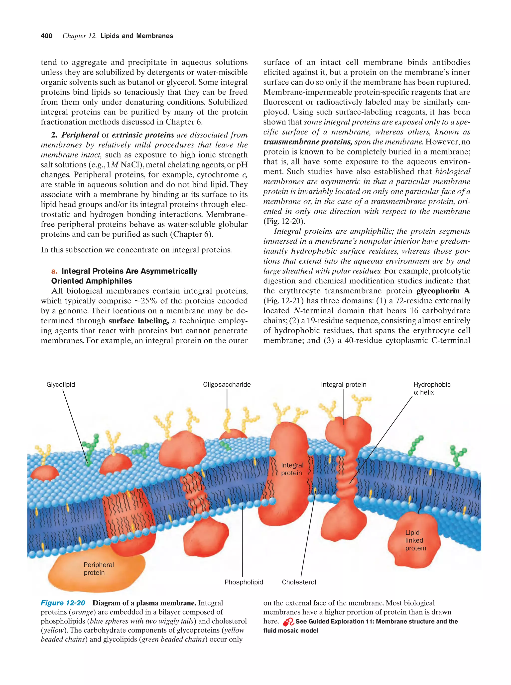 Biochemistry.4th.edition