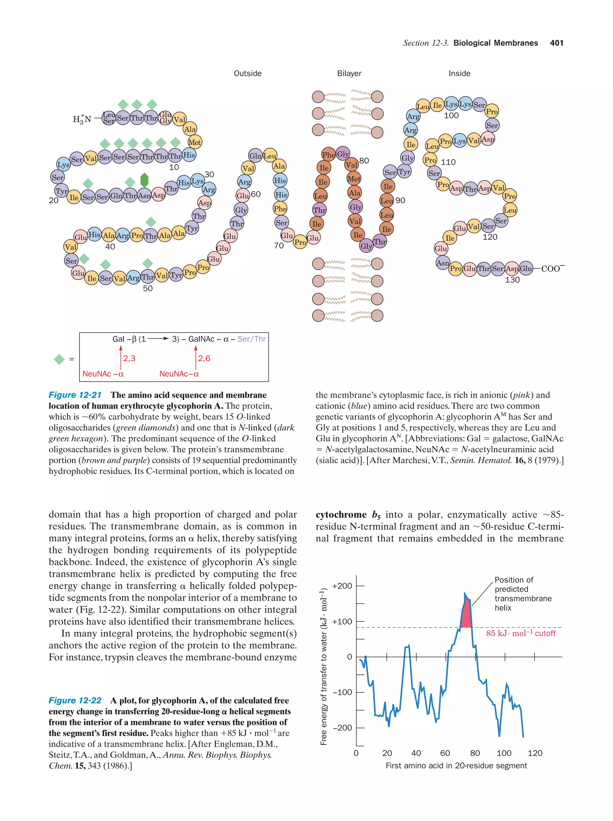 Biochemistry.4th.edition
