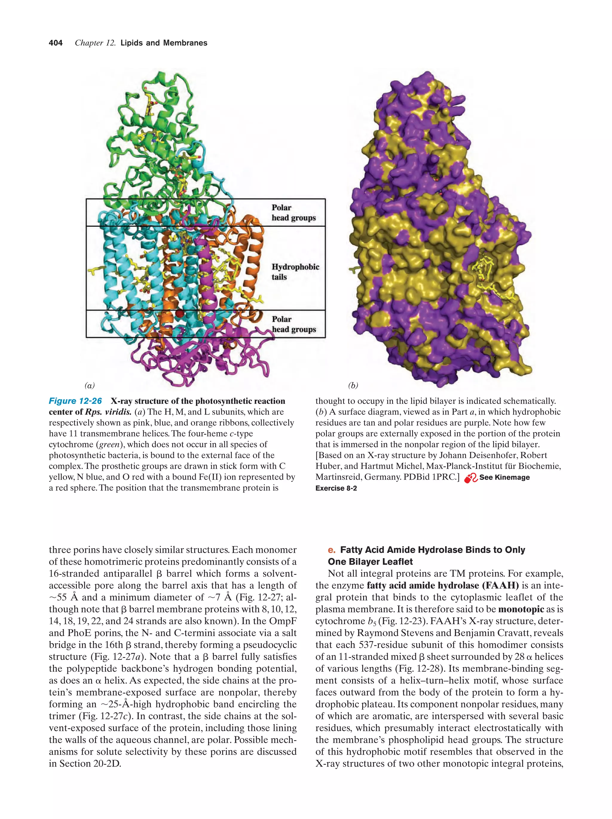 Biochemistry.4th.edition