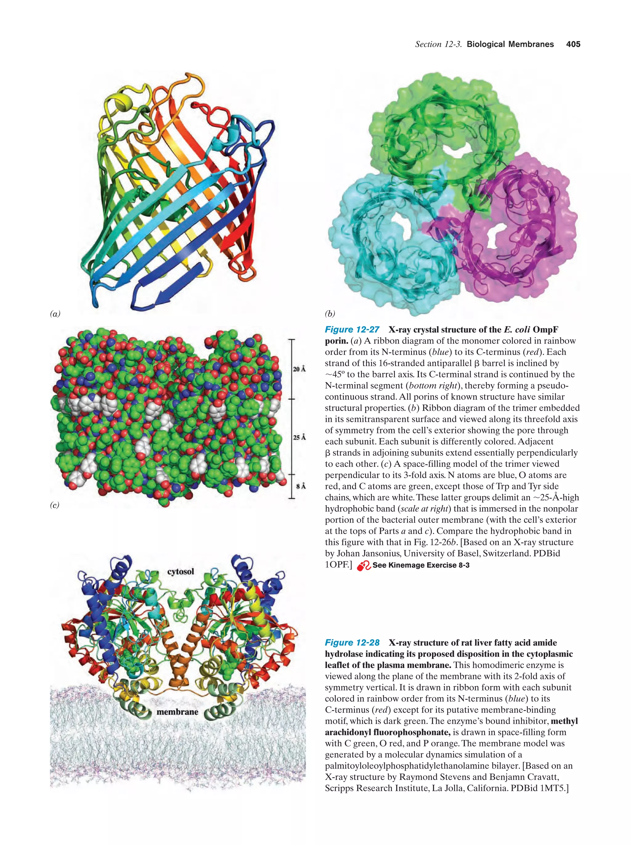 Biochemistry.4th.edition