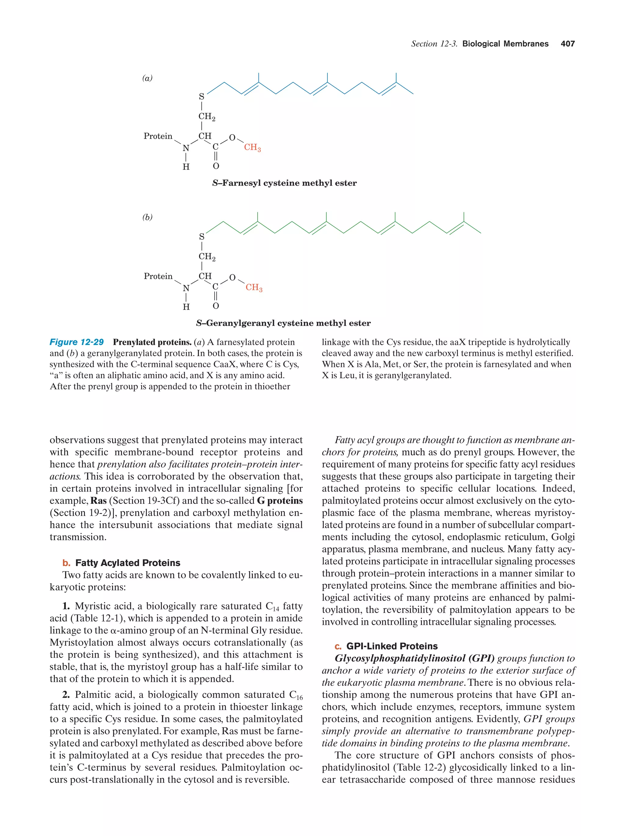 Biochemistry.4th.edition