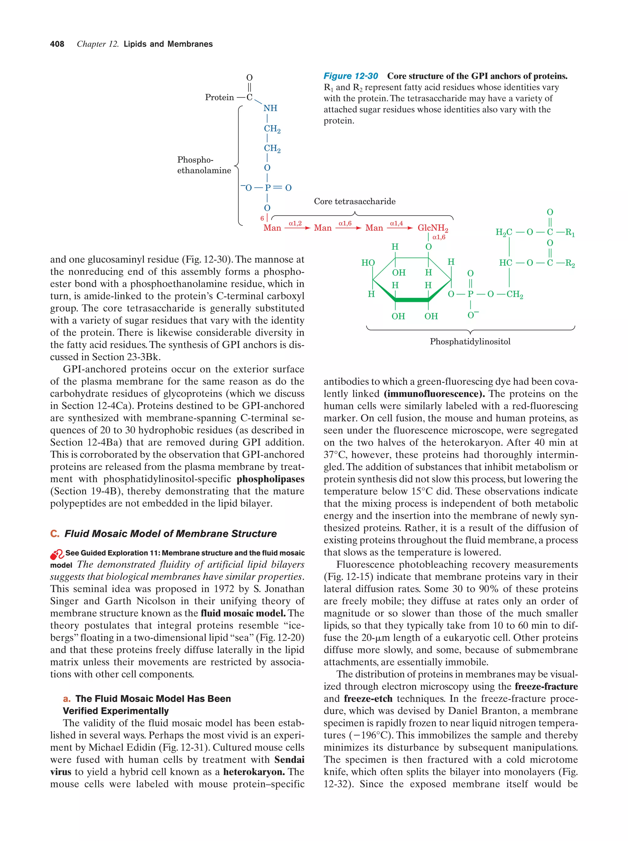 Biochemistry.4th.edition