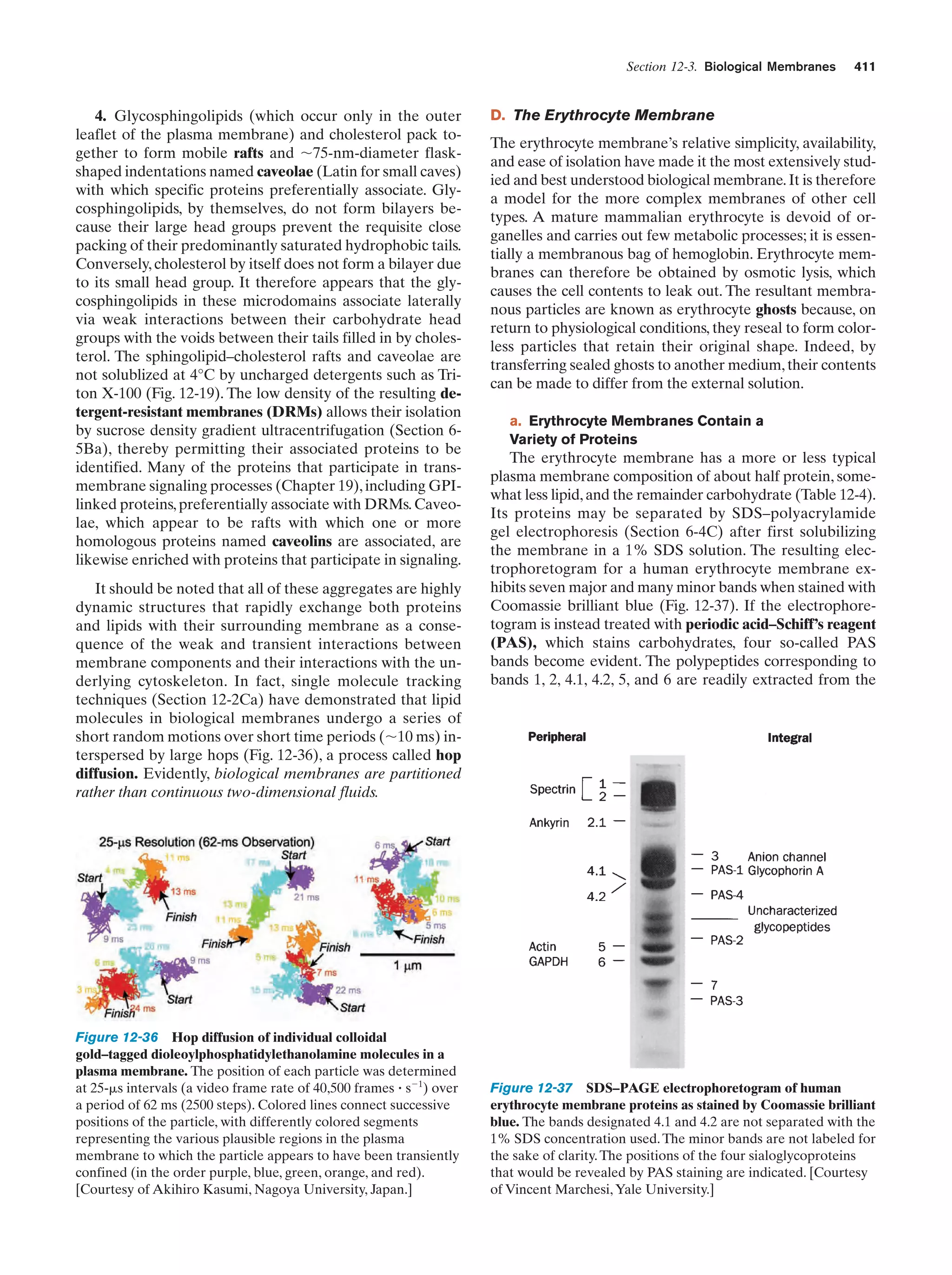 Biochemistry.4th.edition