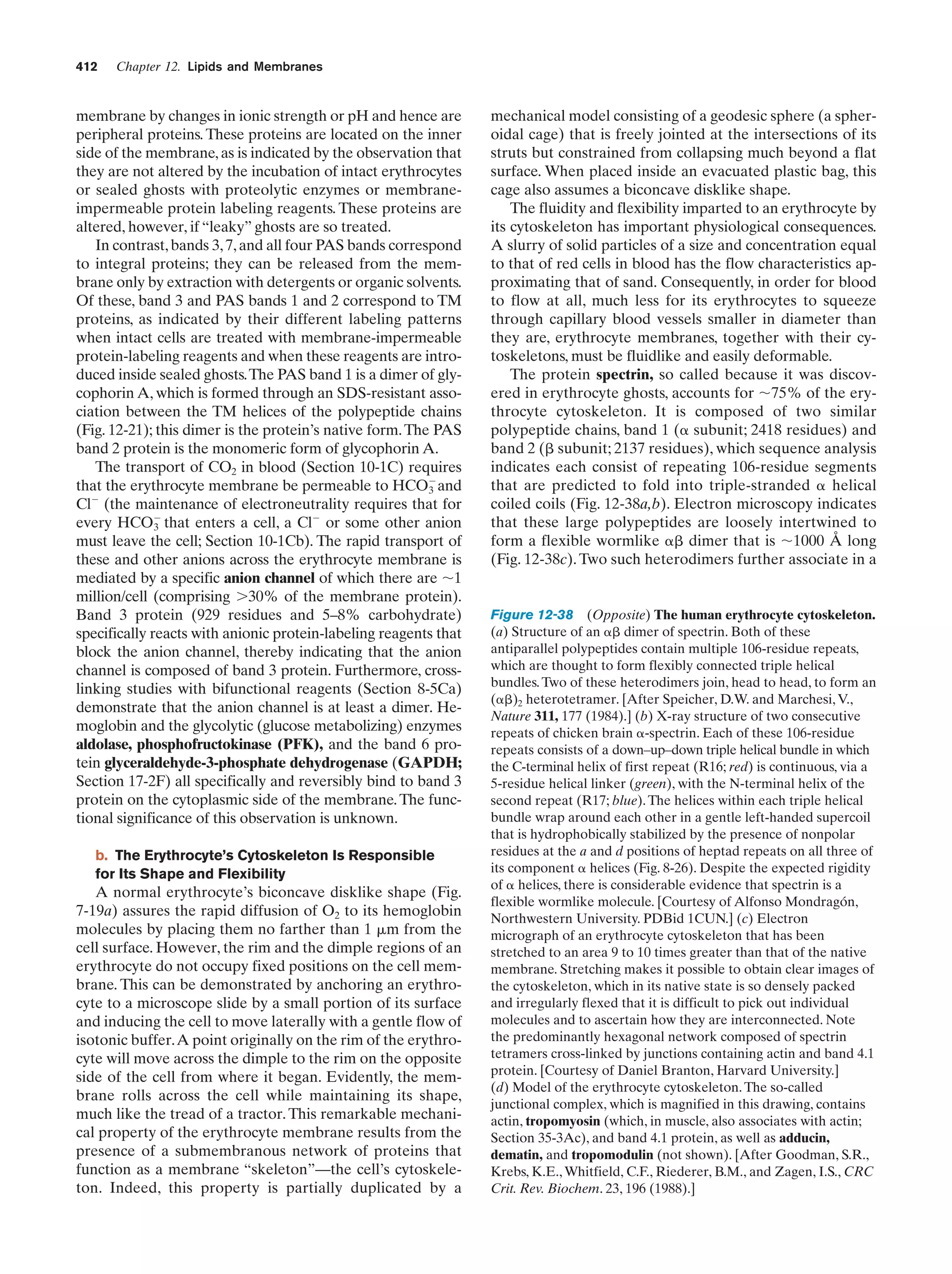 Biochemistry.4th.edition