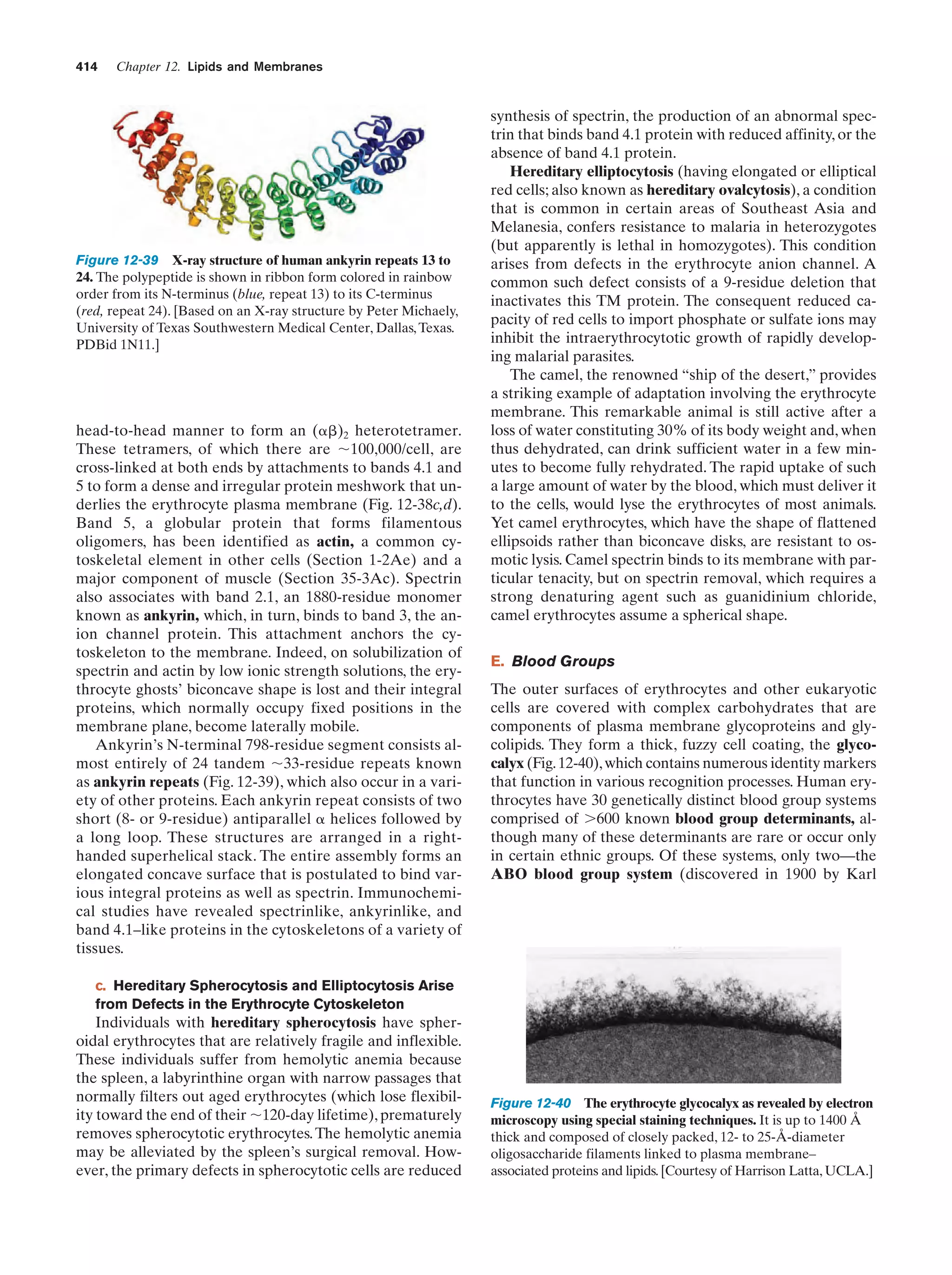 Biochemistry.4th.edition