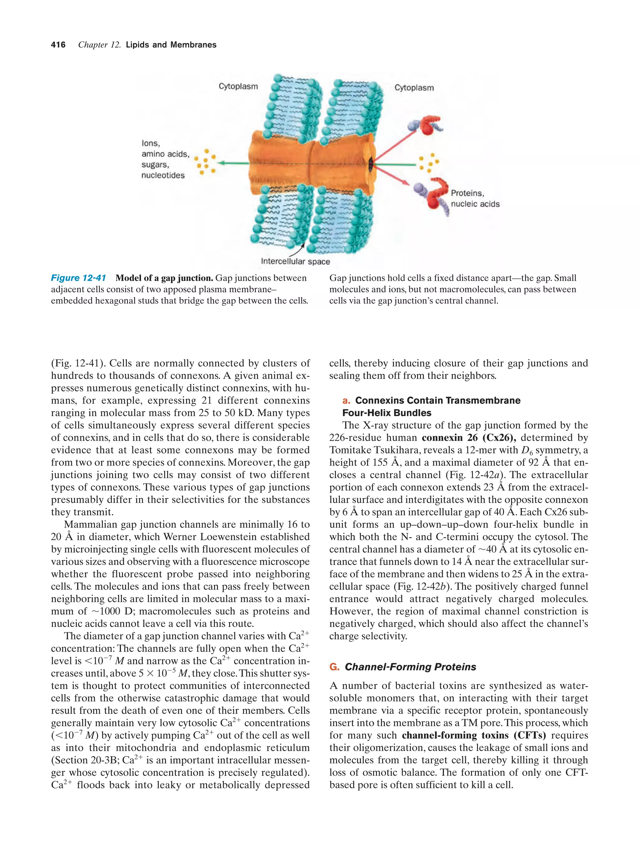 Biochemistry.4th.edition