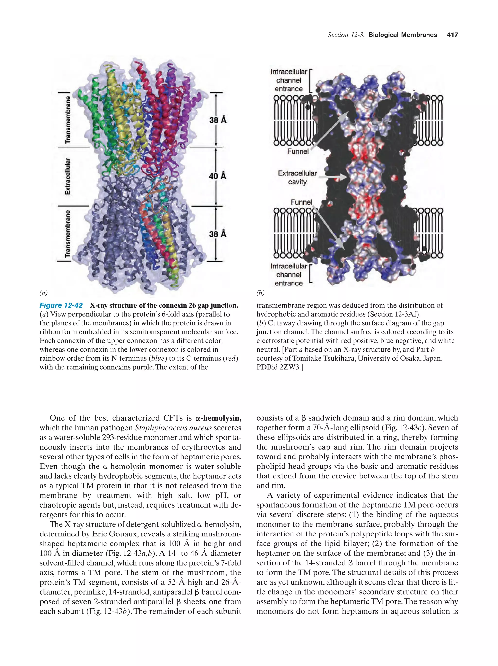 Biochemistry.4th.edition