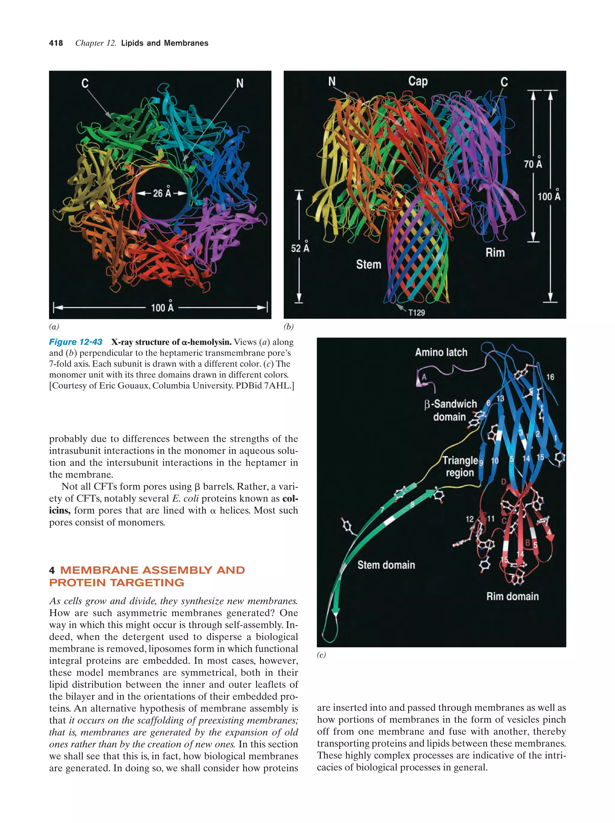 Biochemistry.4th.edition