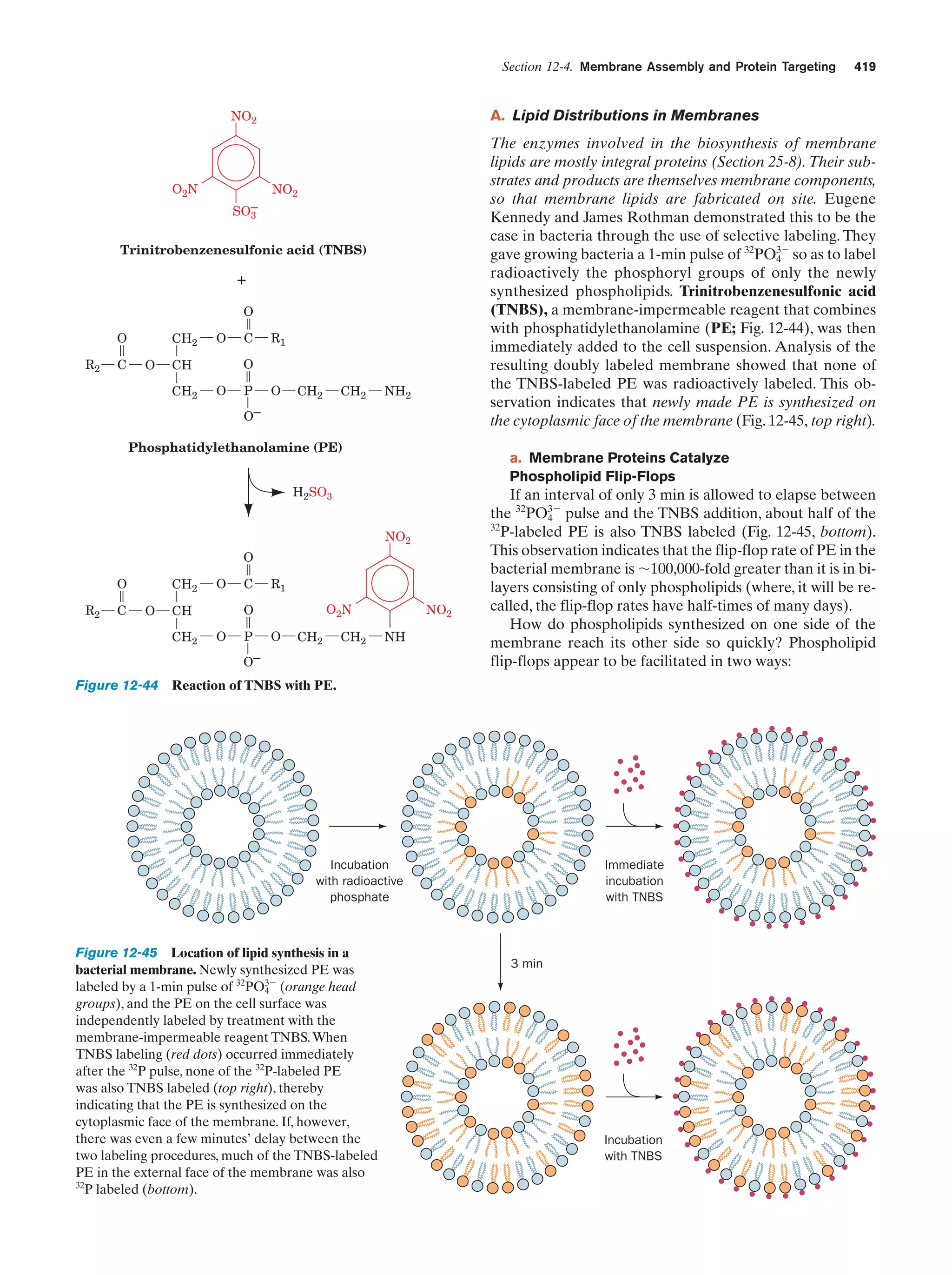 Biochemistry.4th.edition