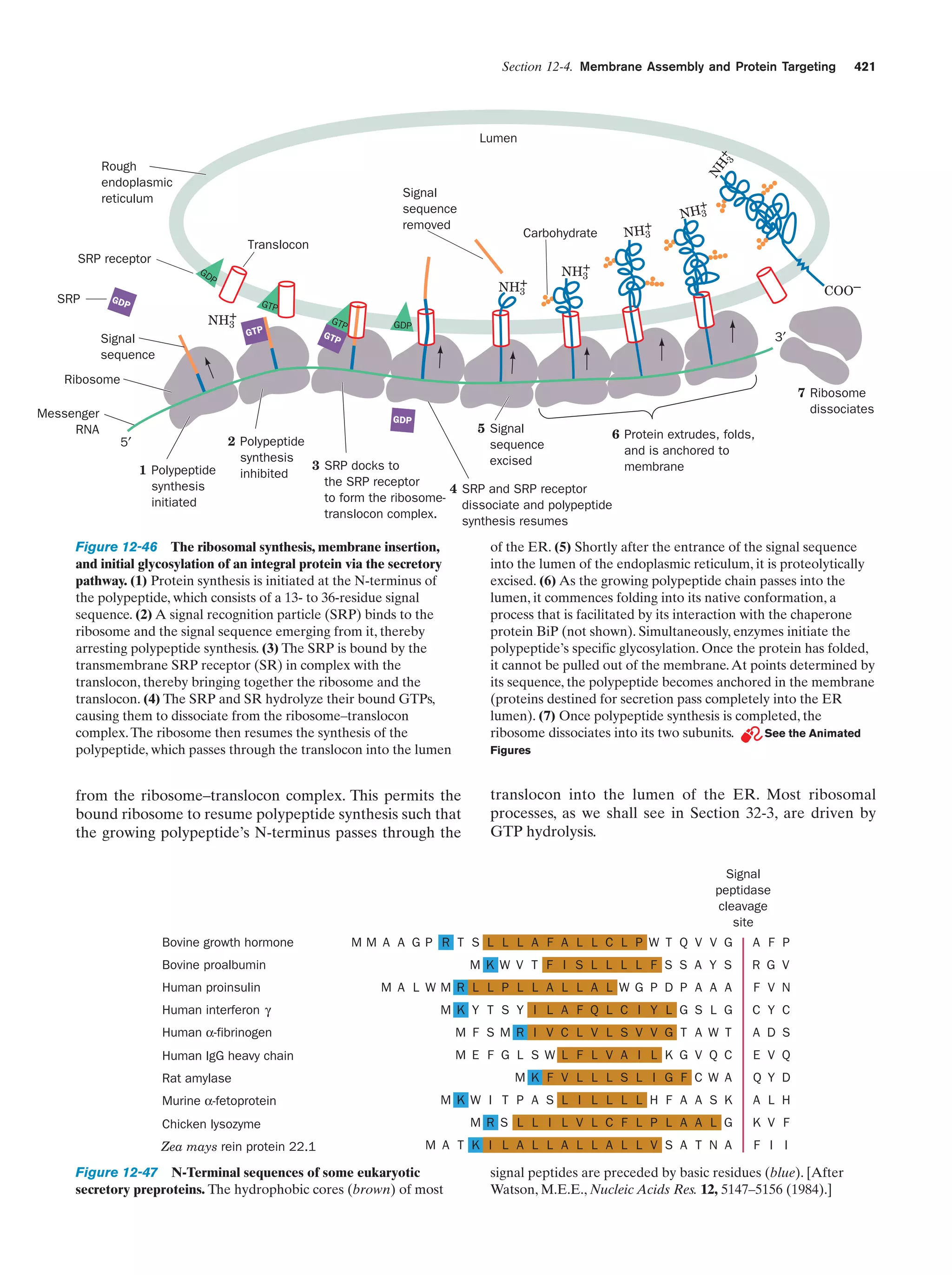 Biochemistry.4th.edition