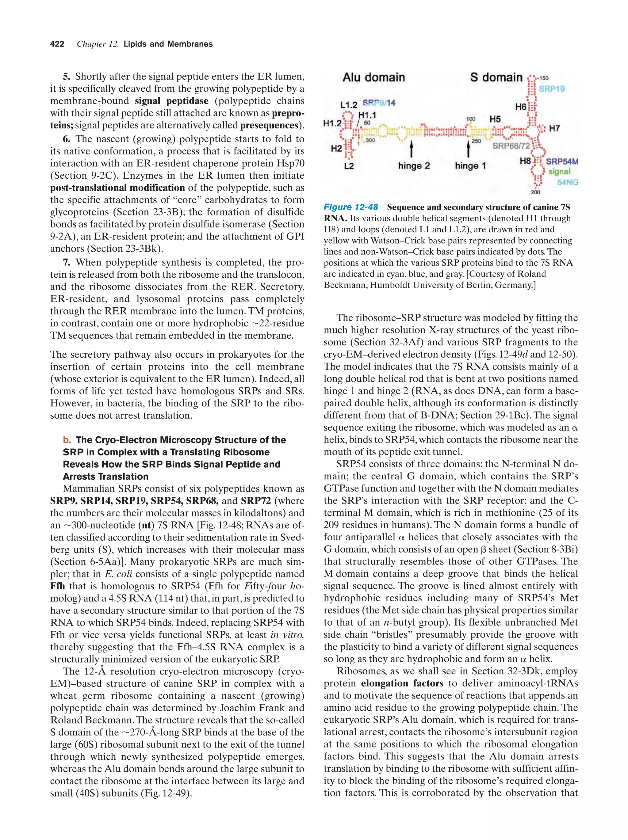 Biochemistry.4th.edition